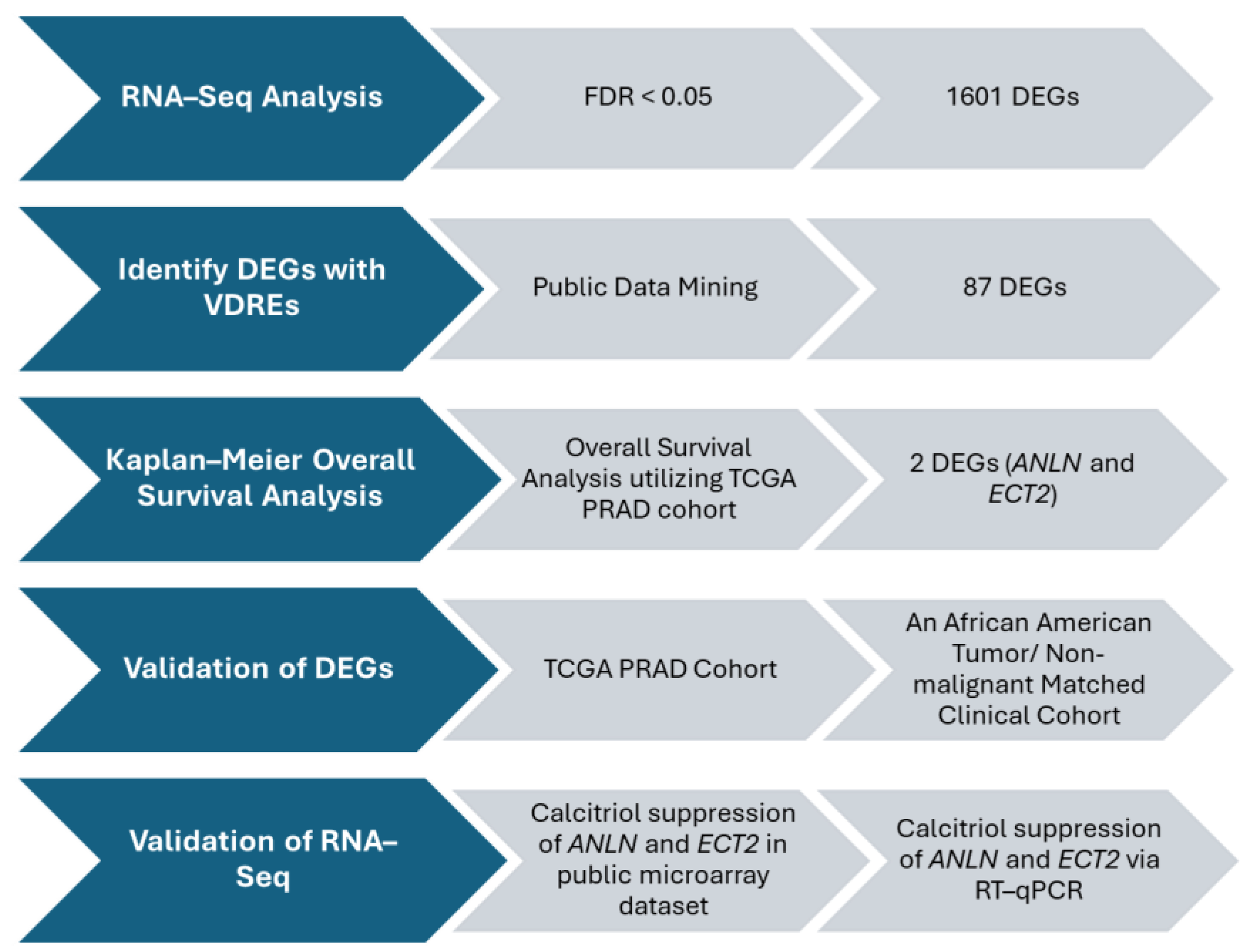 Biology 13 00346 g002 Biology 13 00346 g002