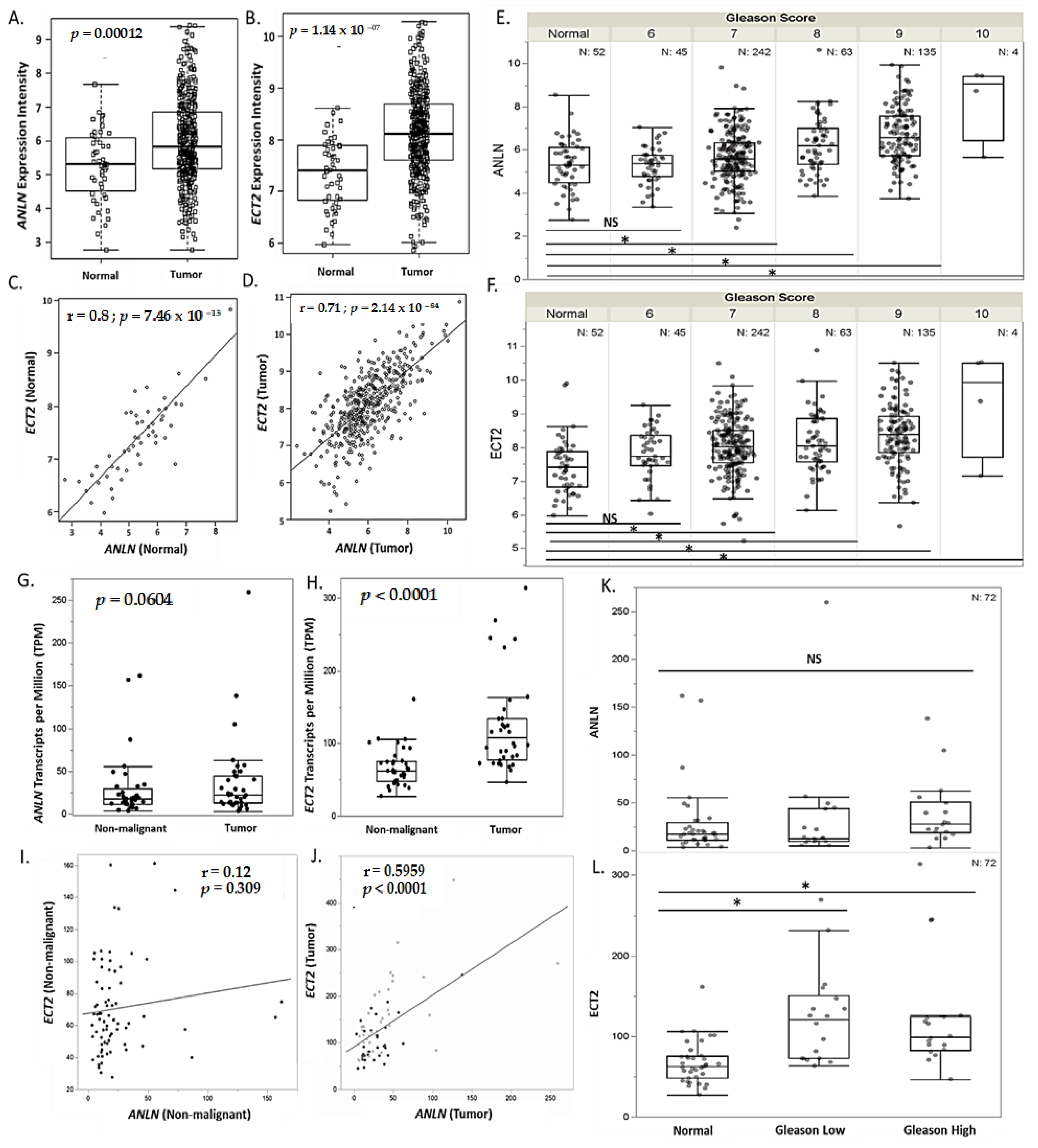 Biology 13 00346 g004 Biology 13 00346 g004