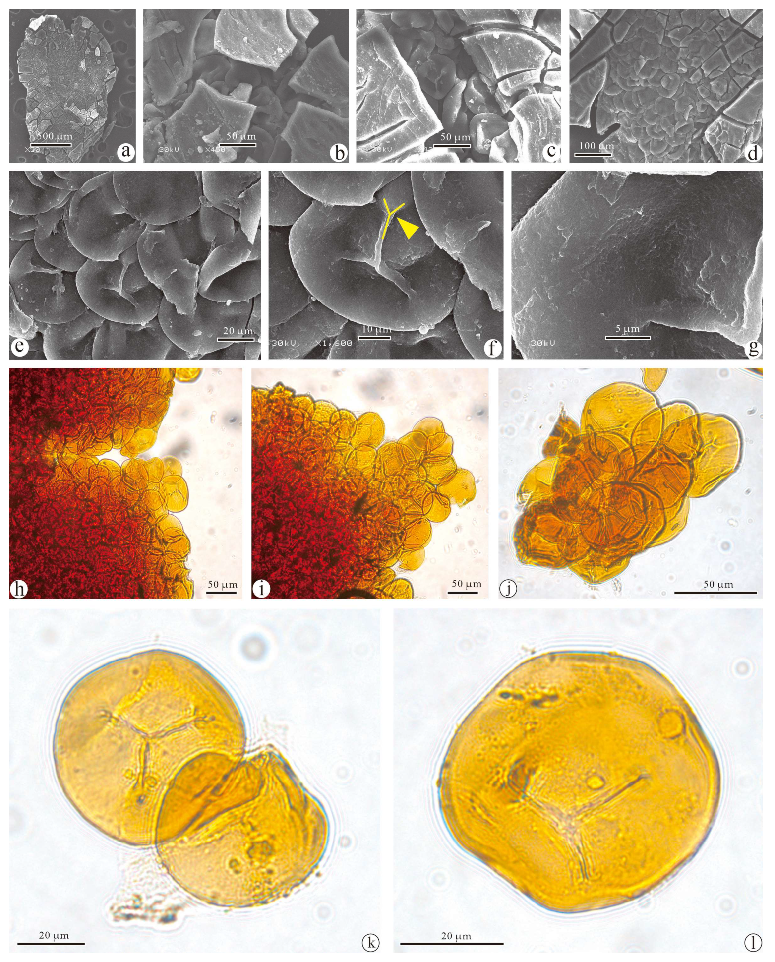Biology 13 00347 g005