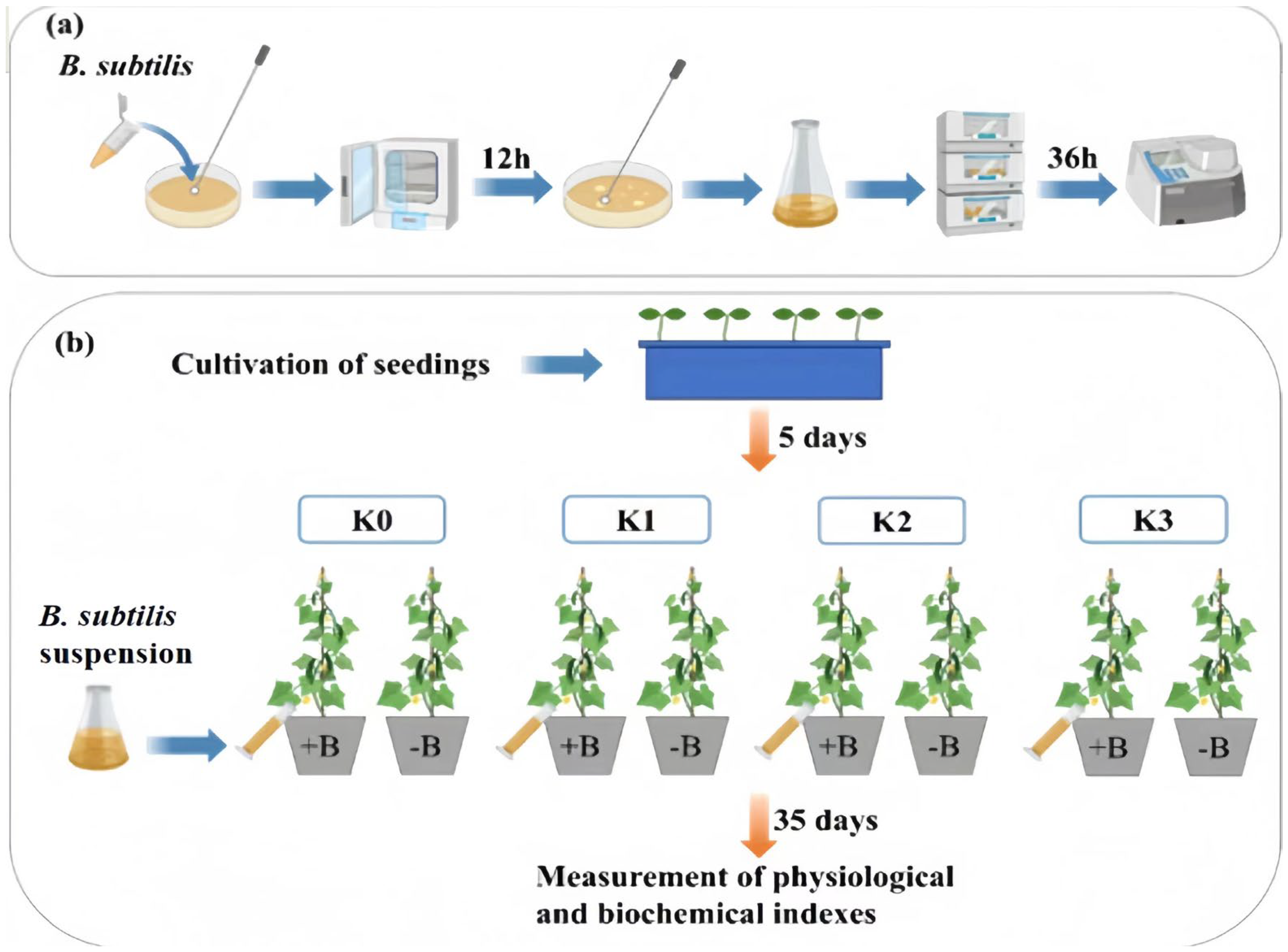 Biology 13 00348 g001 Biology 13 00348 g001