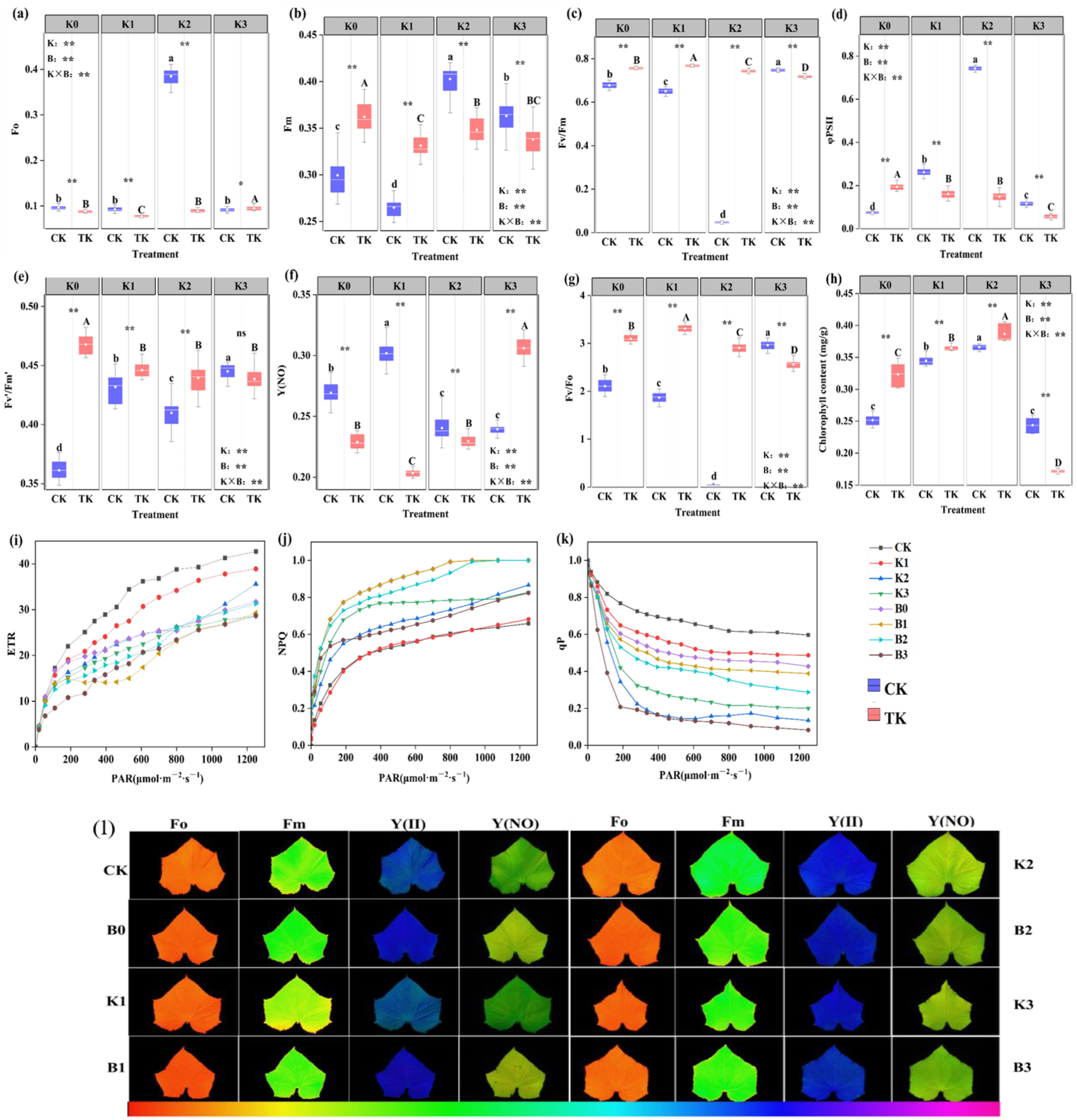 Biology 13 00348 g004 Biology 13 00348 g004