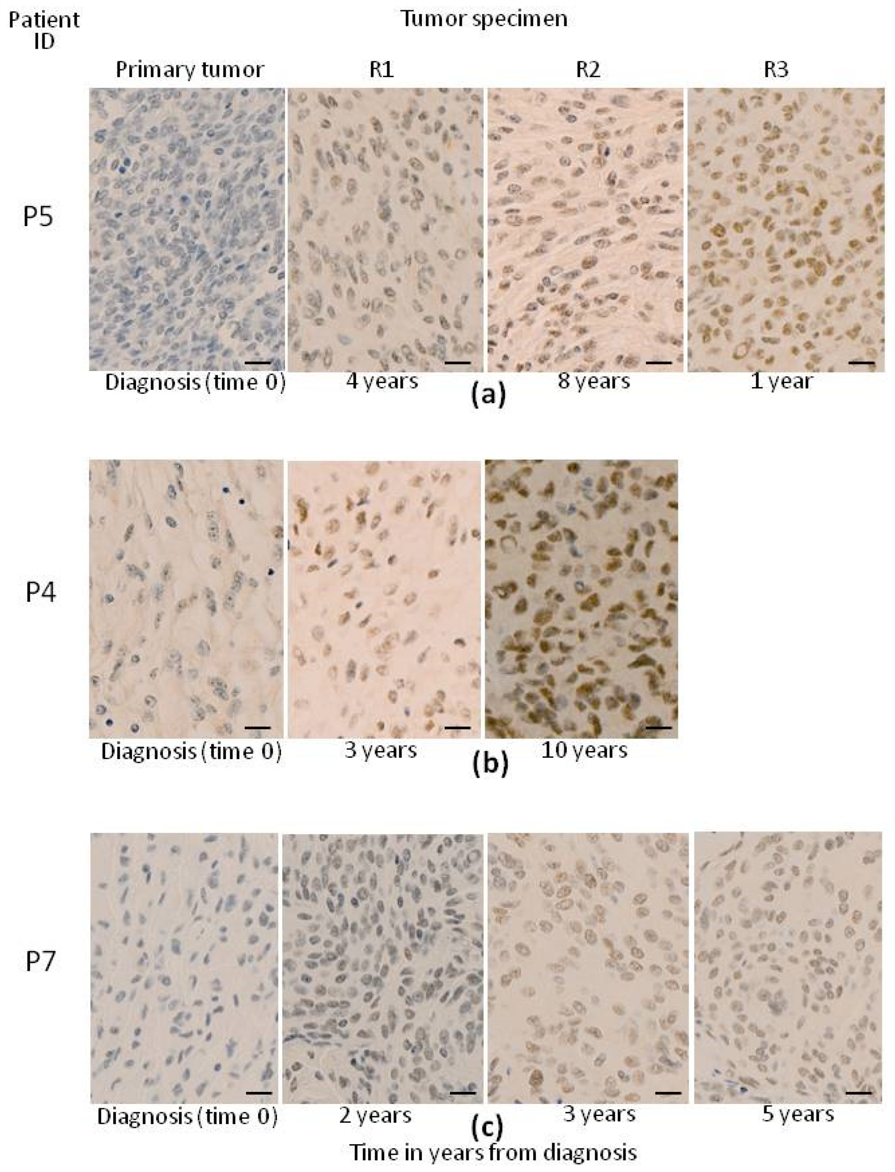 Biology 13 00350 g001