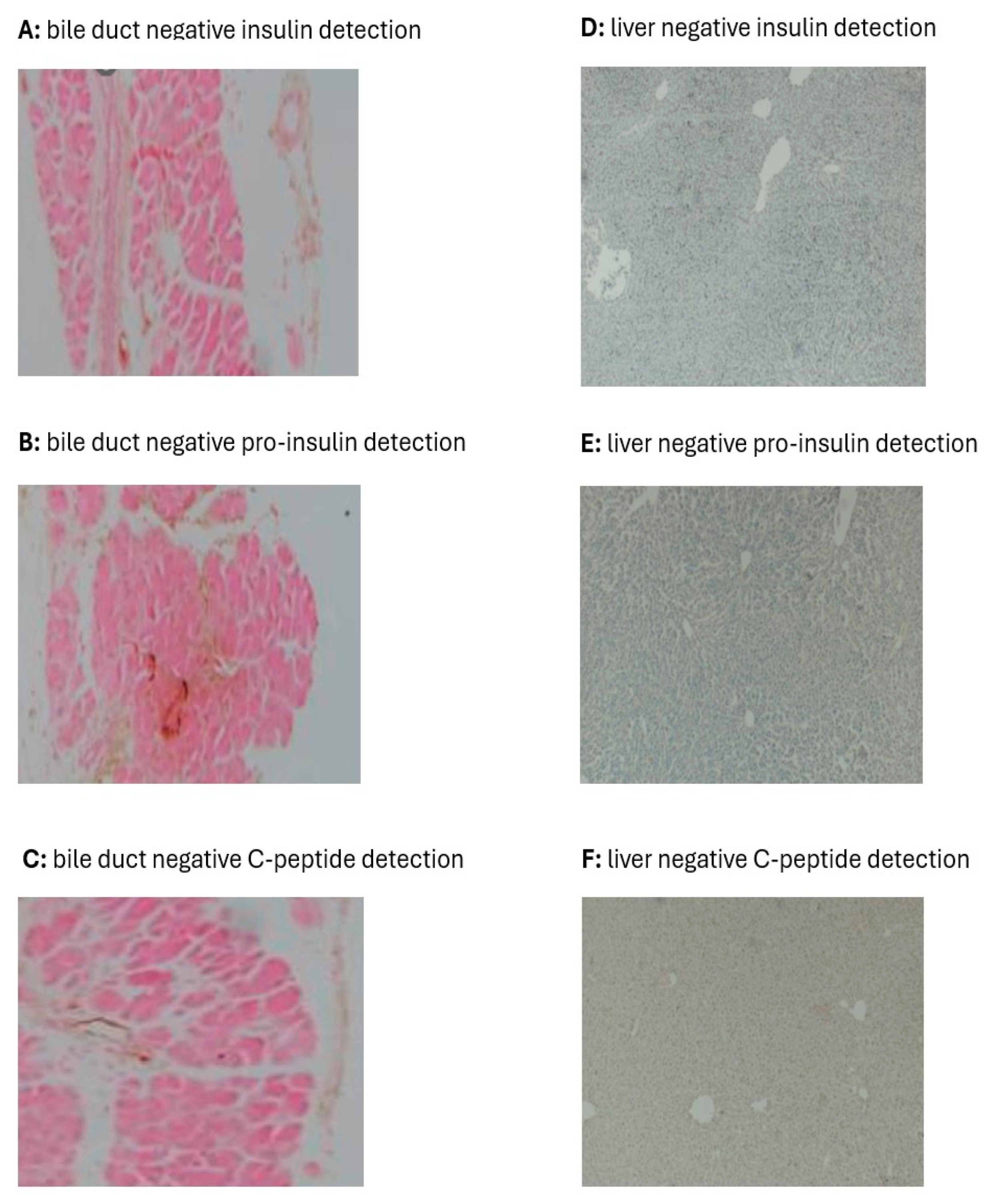 Biology 13 00355 g004