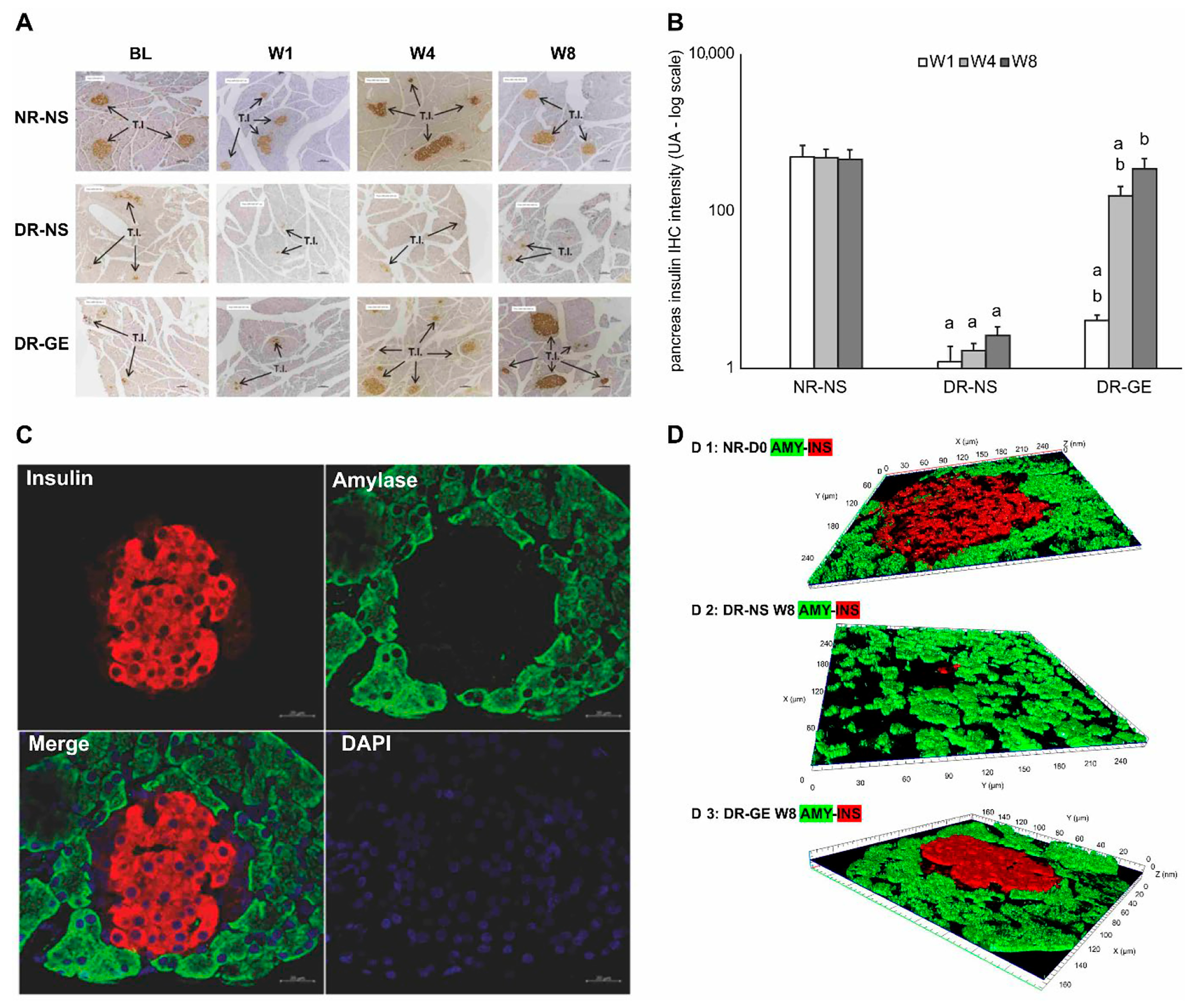 Biology 13 00355 g005