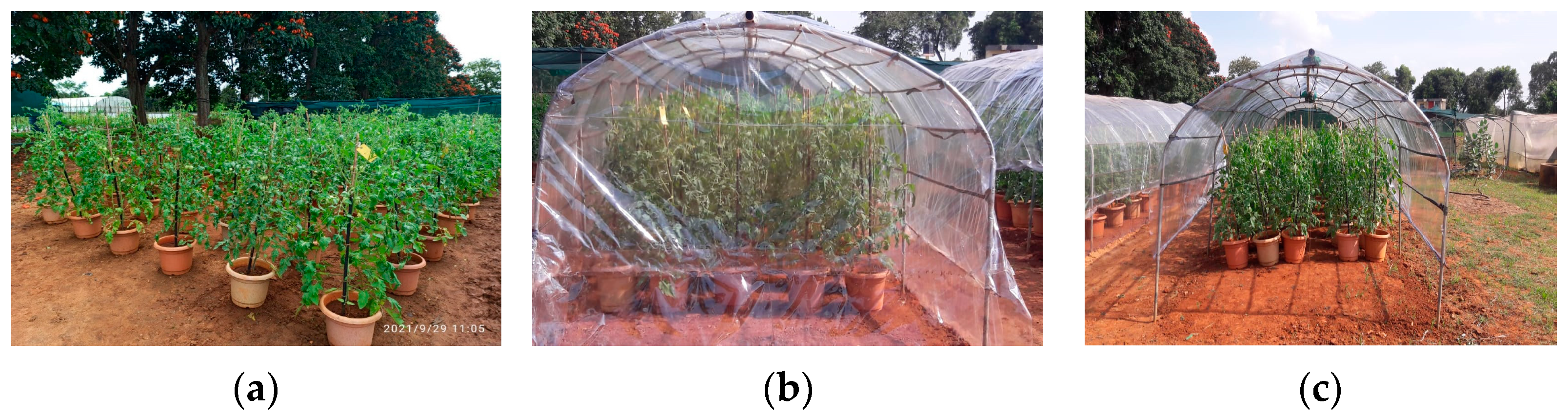 Biology 13 00356 g002