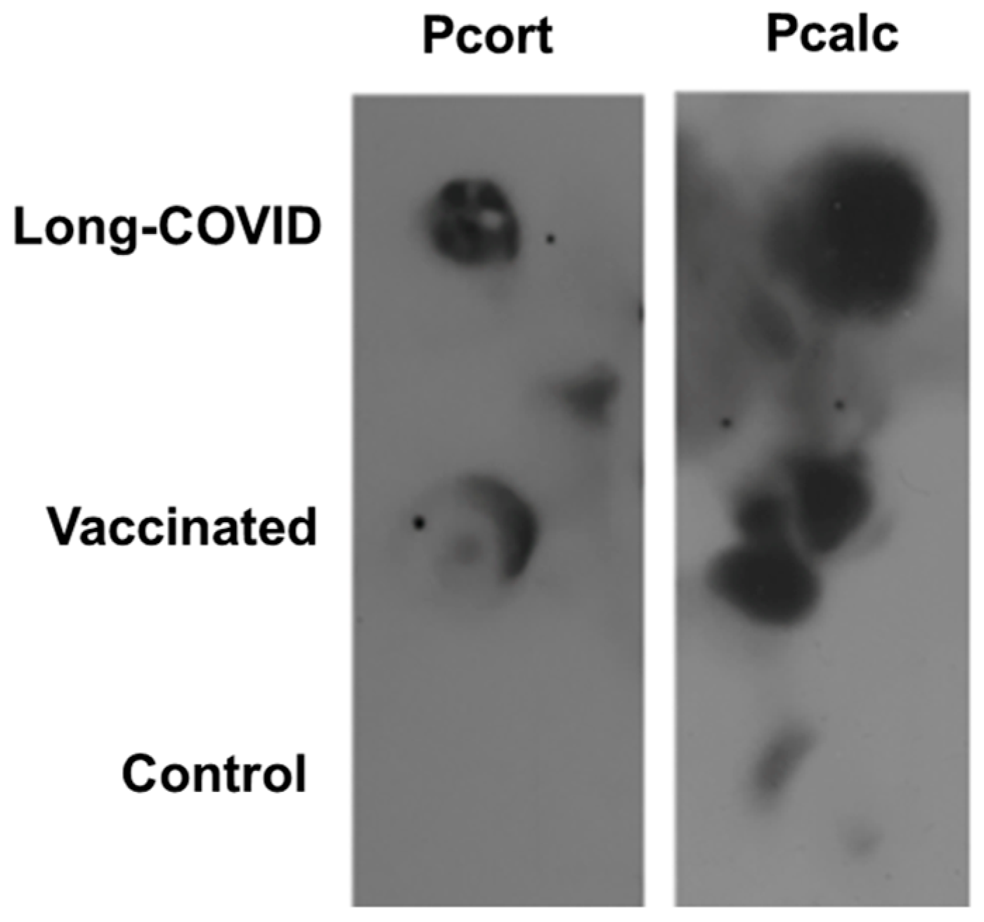 Biology 13 00359 g001