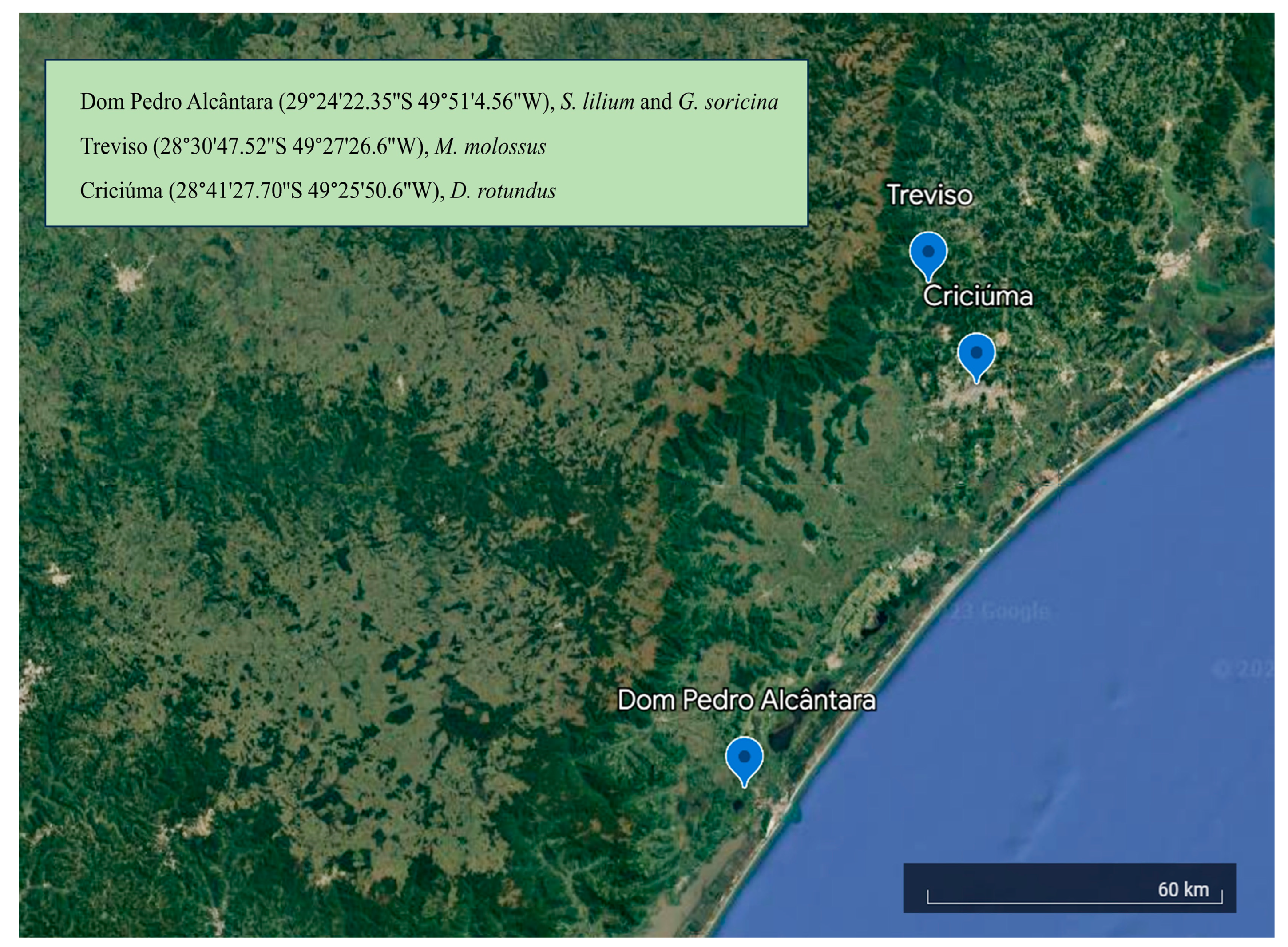 Biology 13 00363 g001