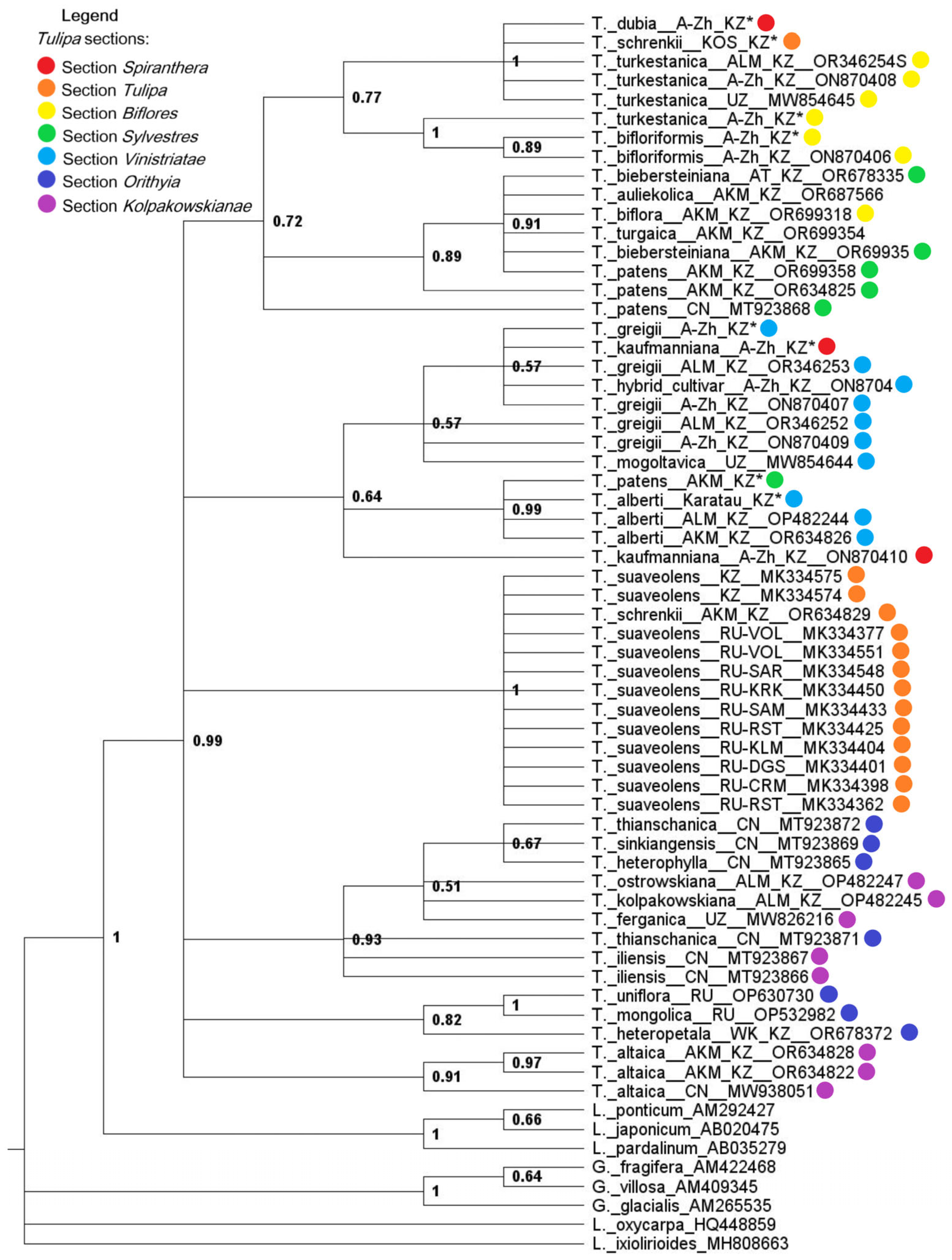 Biology 13 00365 g002
