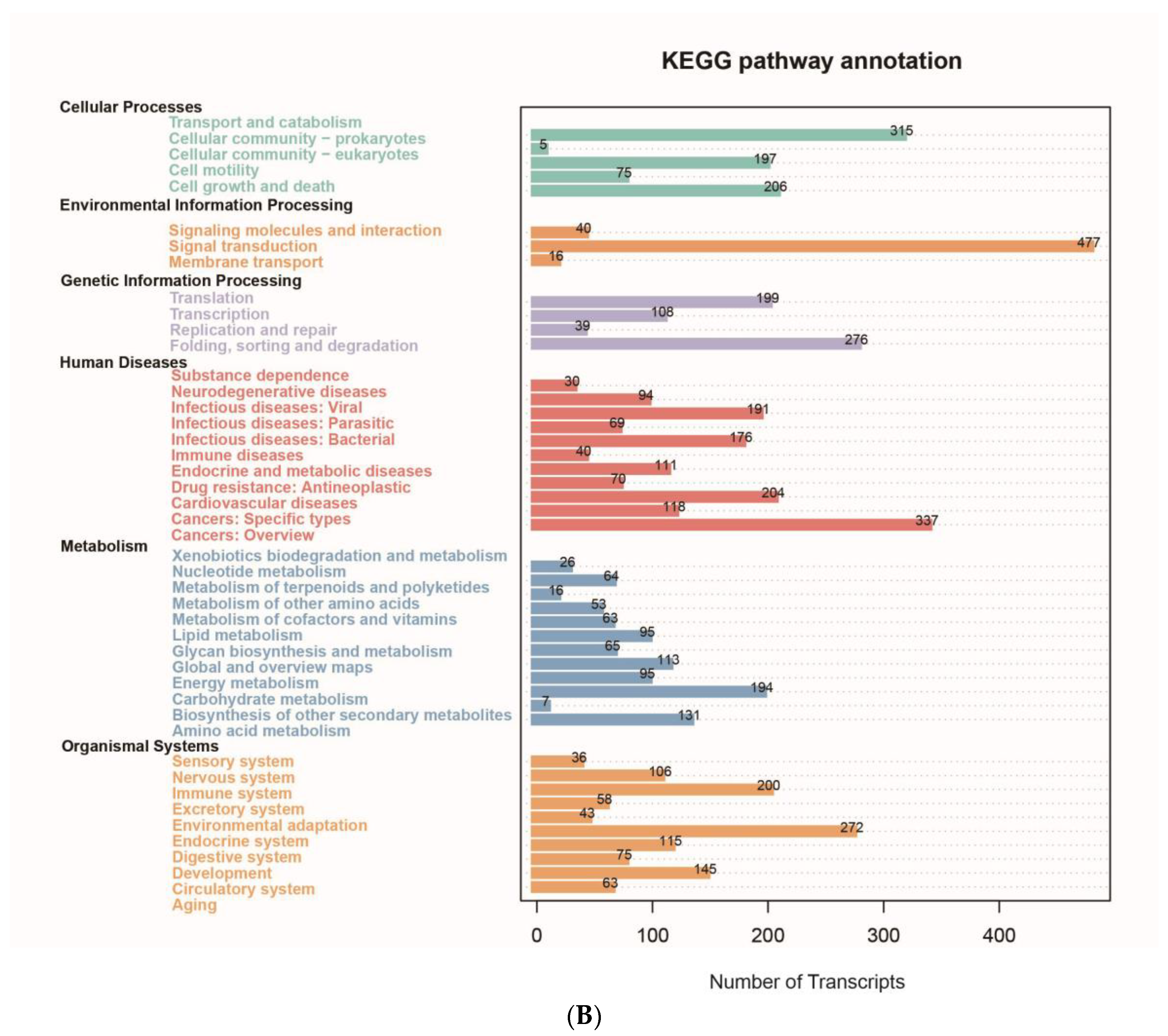 Biology 13 00366 g002b