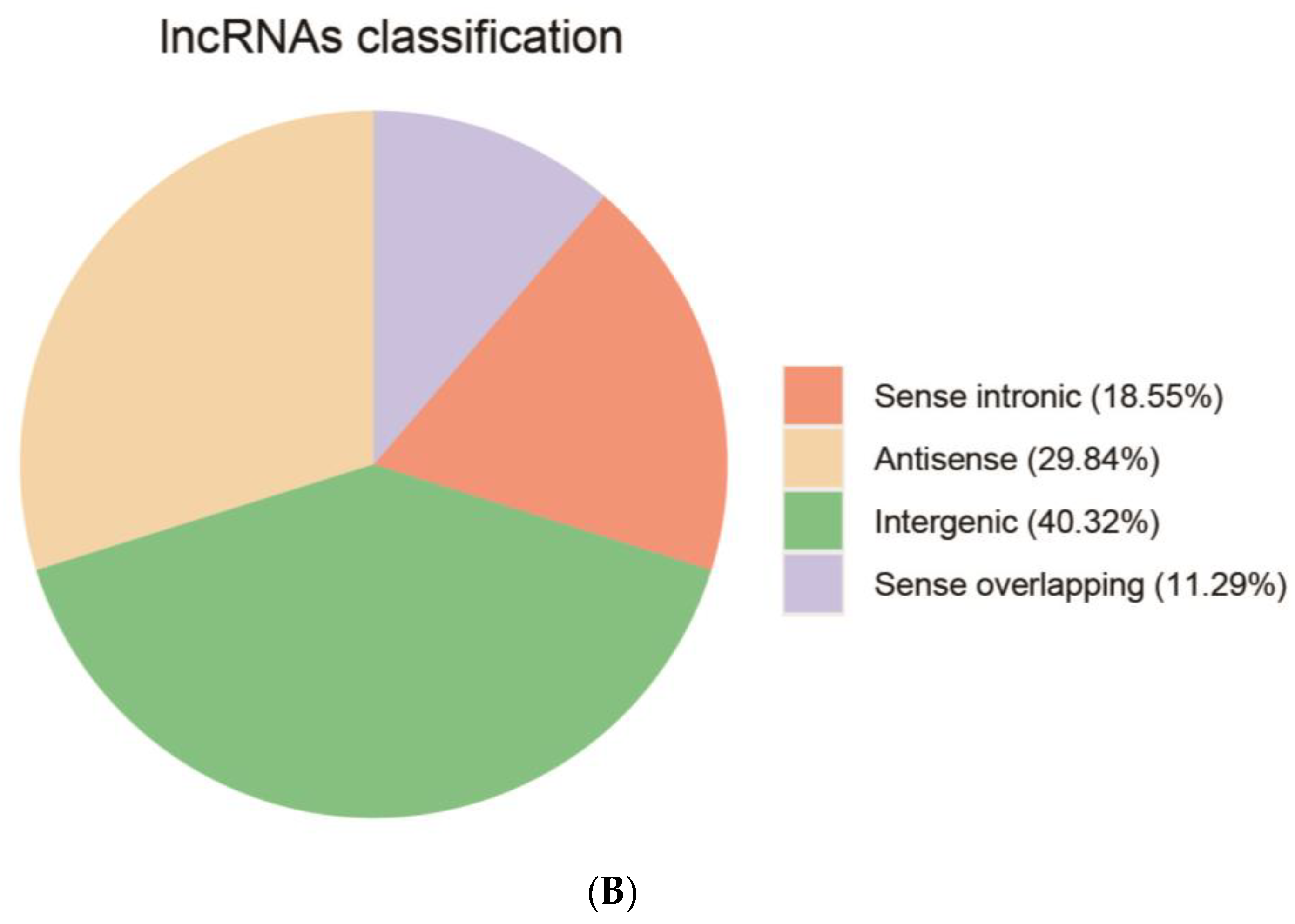 Biology 13 00366 g003b