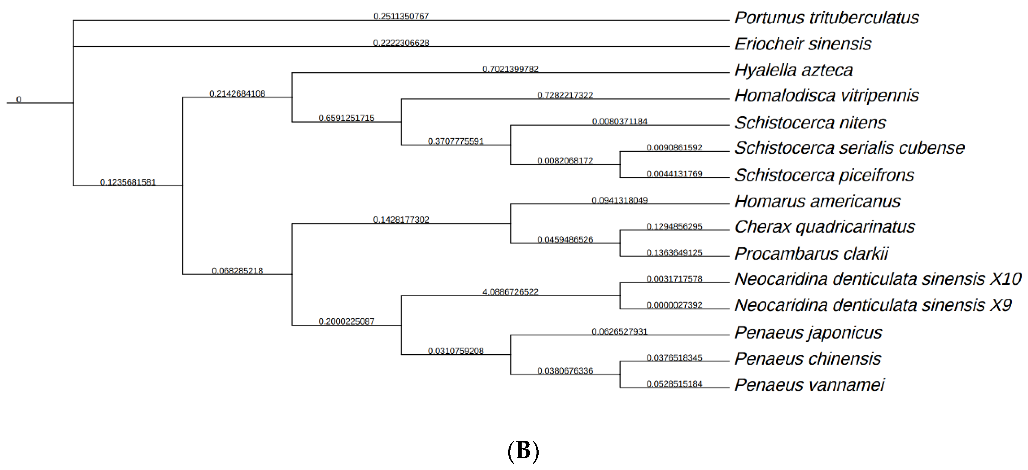 Biology 13 00366 g004b
