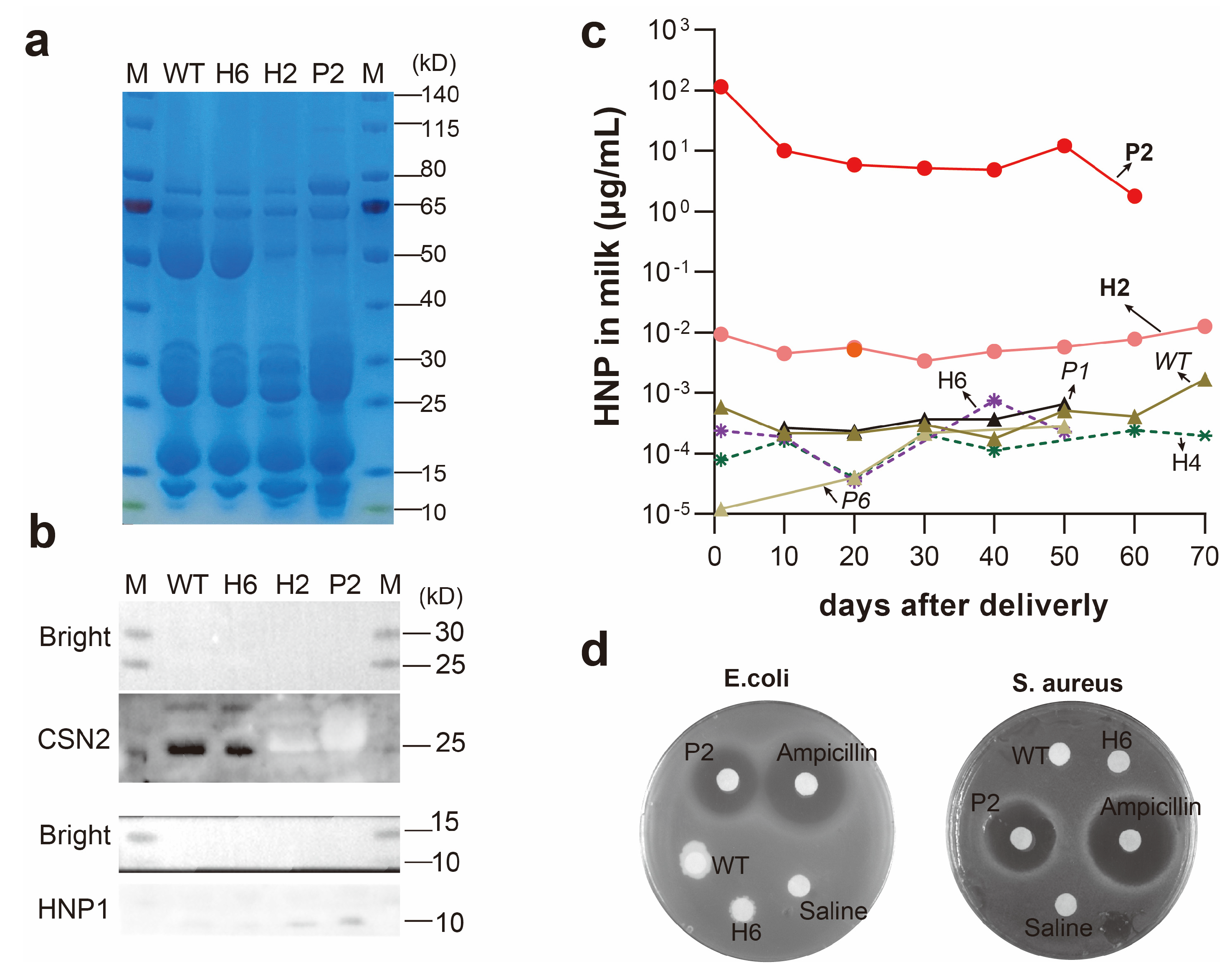 Biology 13 00367 g003
