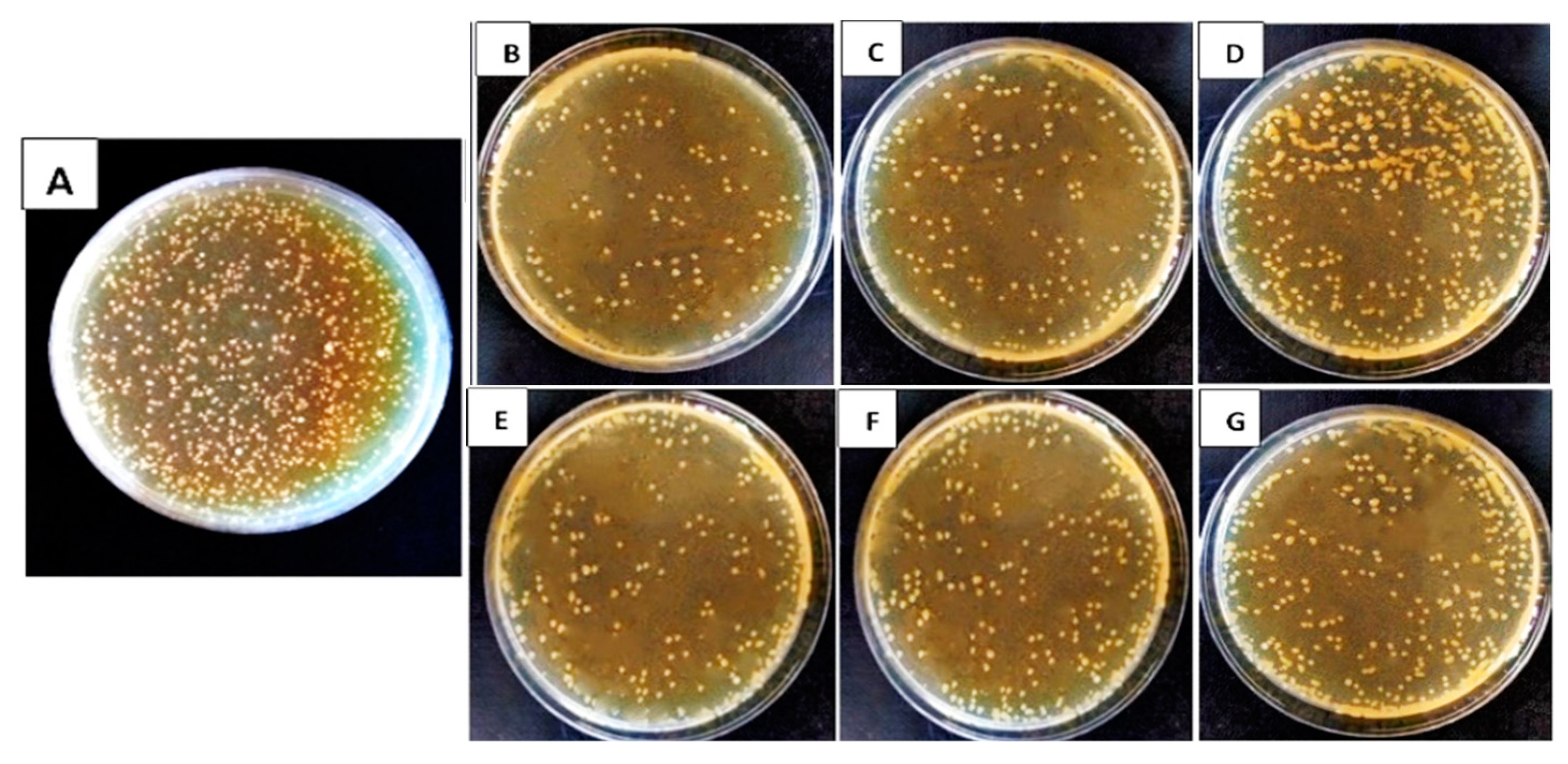 Biology 13 00369 g001 Biology 13 00369 g001