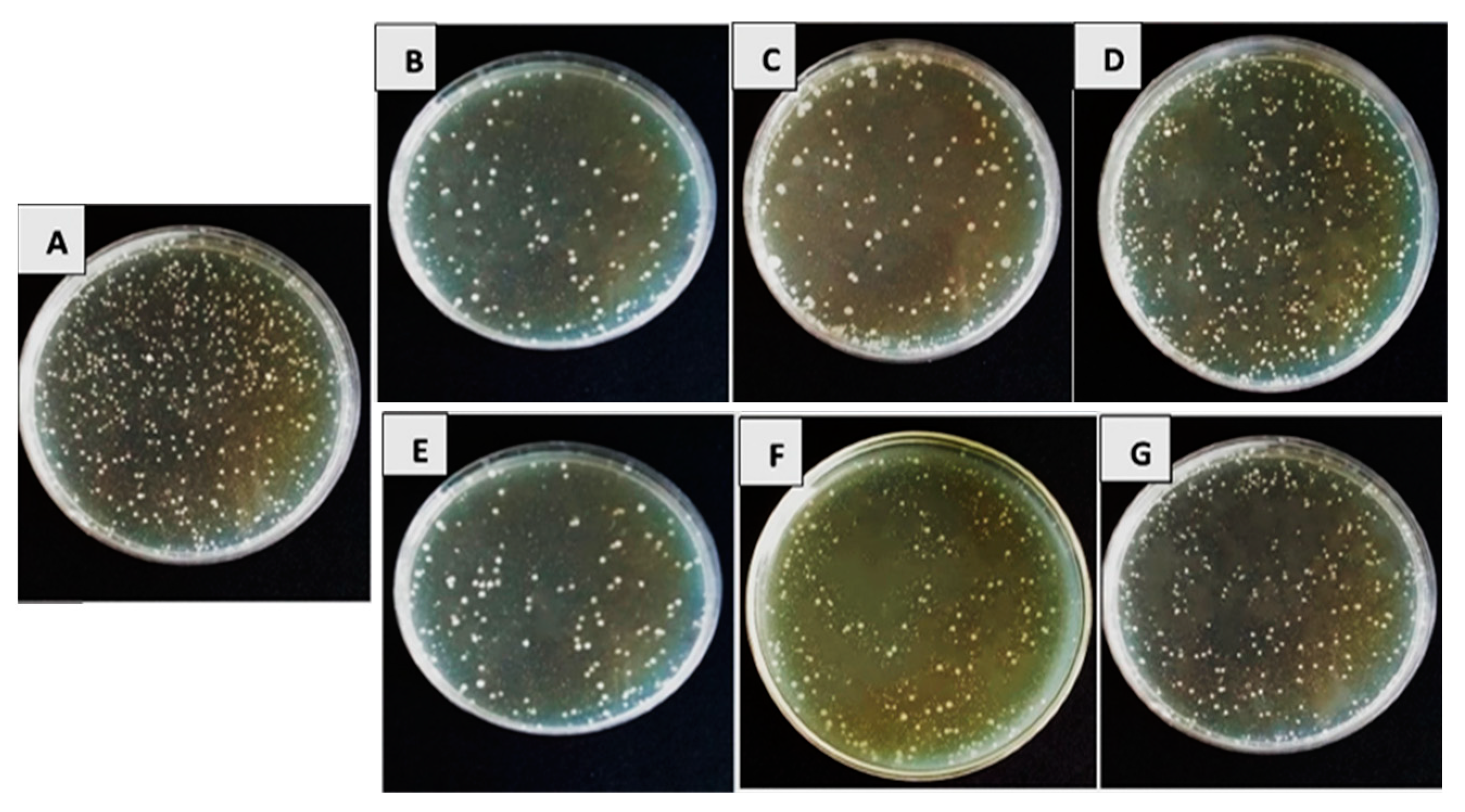 Biology 13 00369 g002 Biology 13 00369 g002