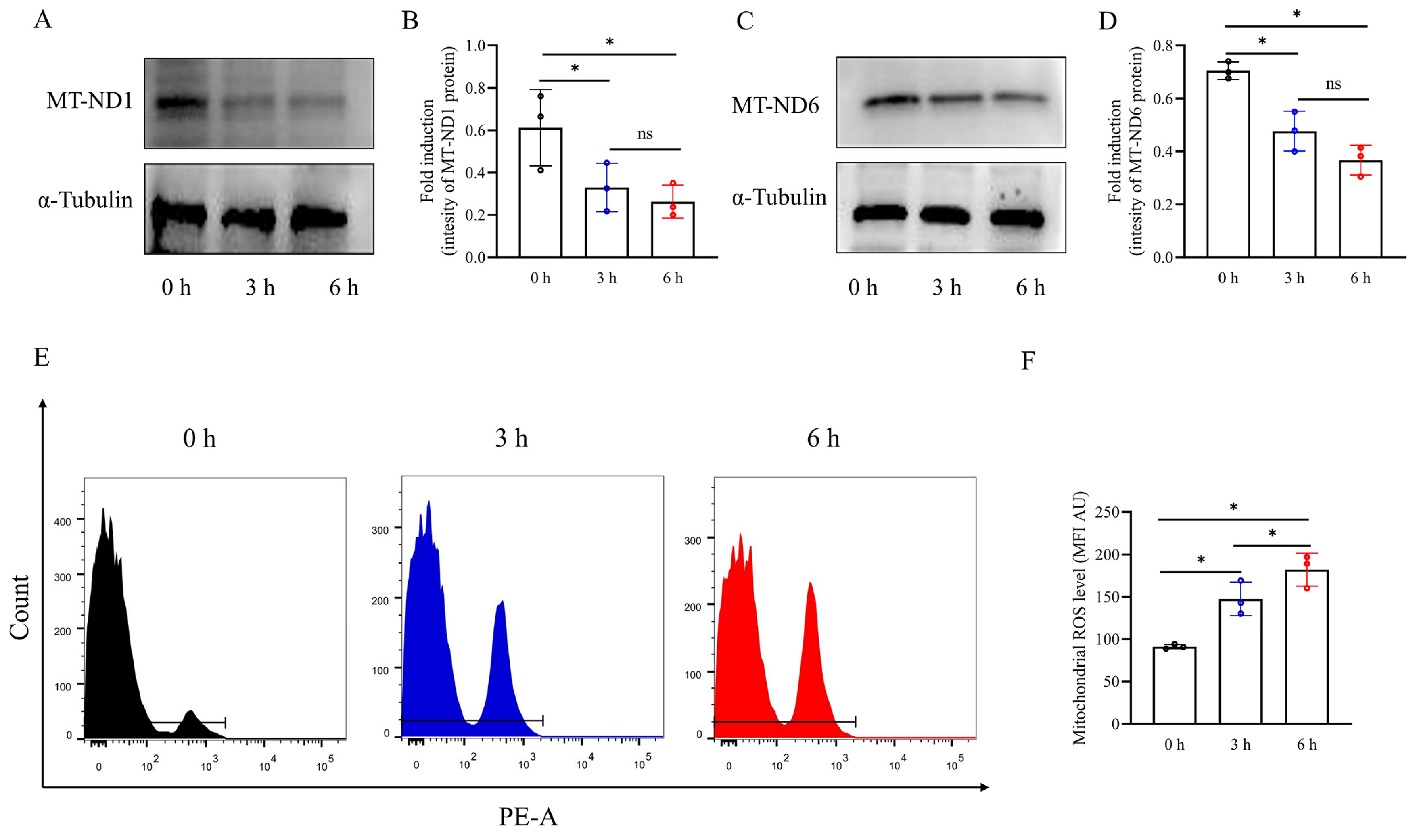 Biology 13 00370 g003 Biology 13 00370 g003