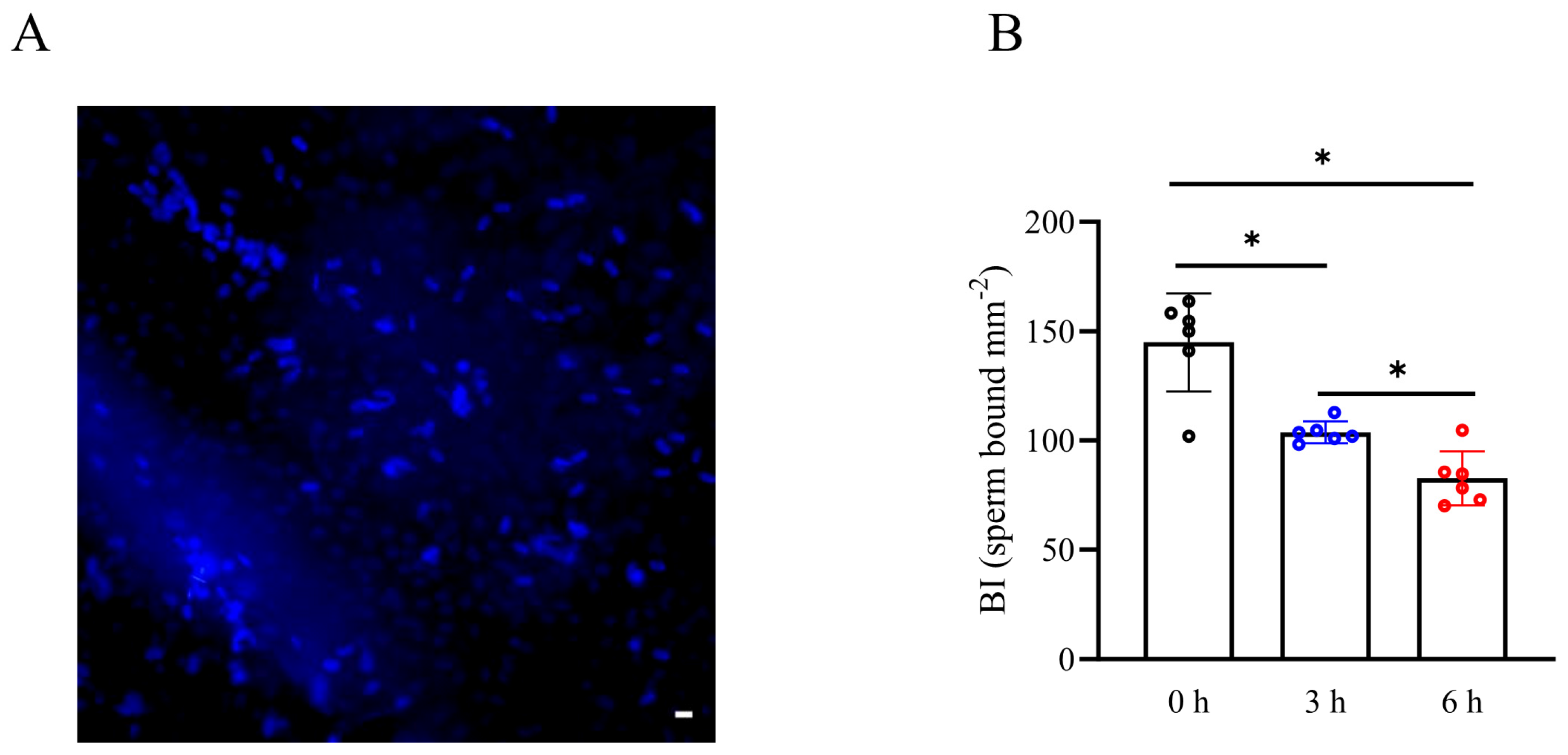 Biology 13 00370 g005 Biology 13 00370 g005