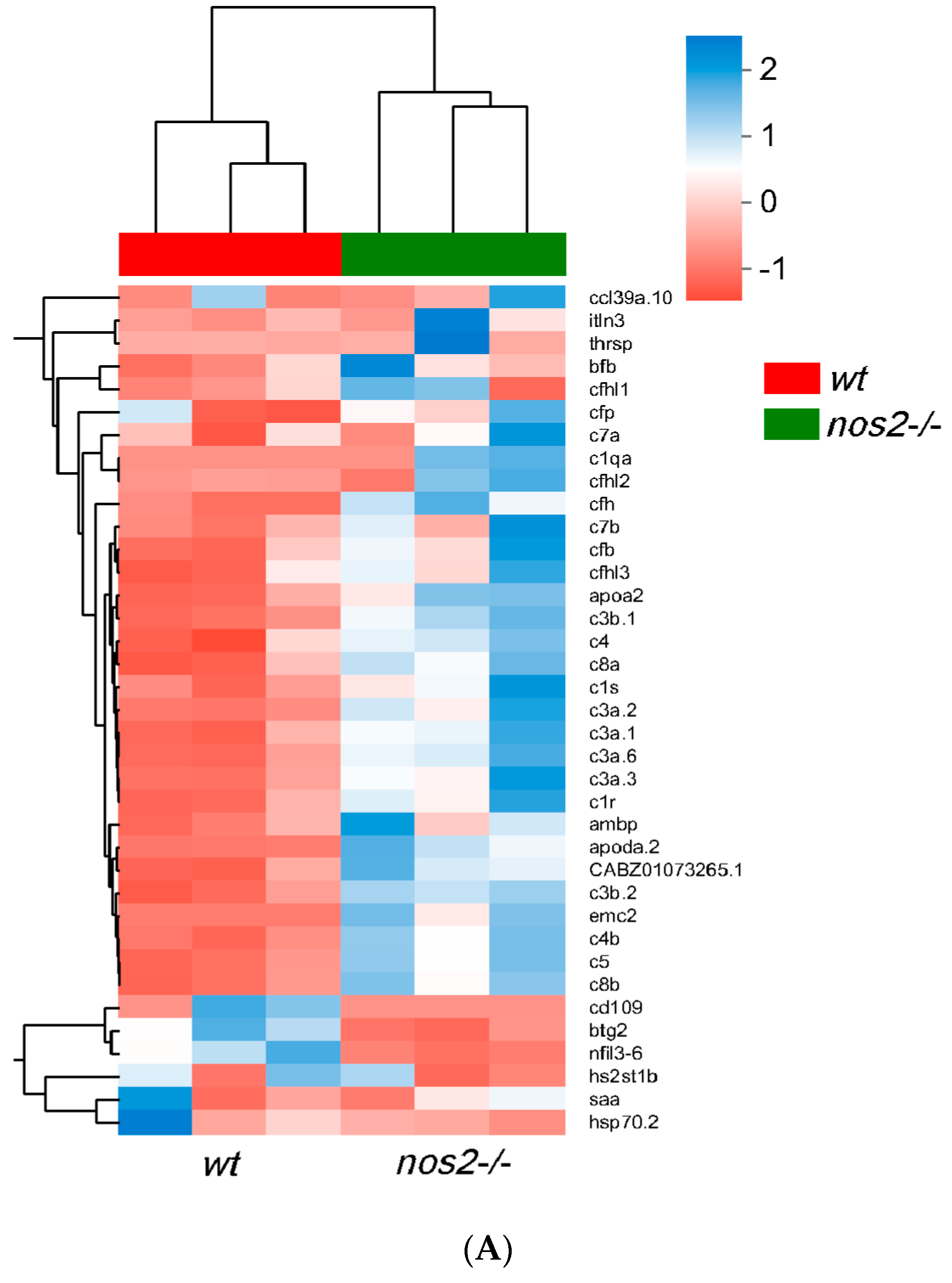 Biology 13 00372 g006a