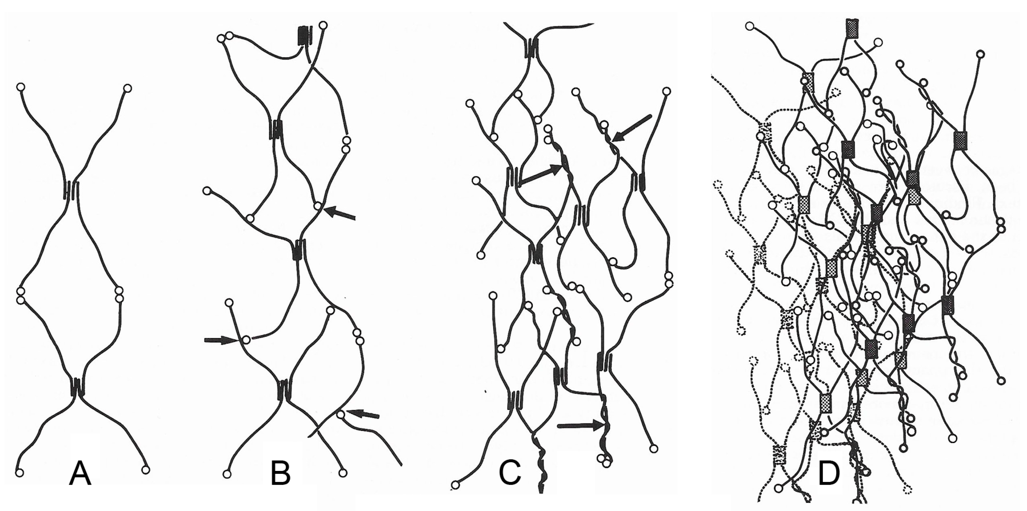 Biology 13 00375 g002 Biology 13 00375 g002