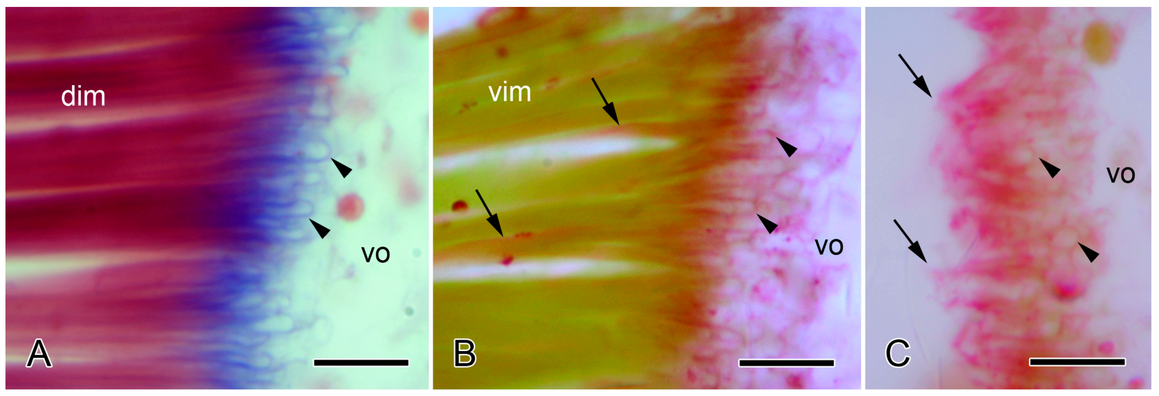 Biology 13 00375 g006 Biology 13 00375 g006