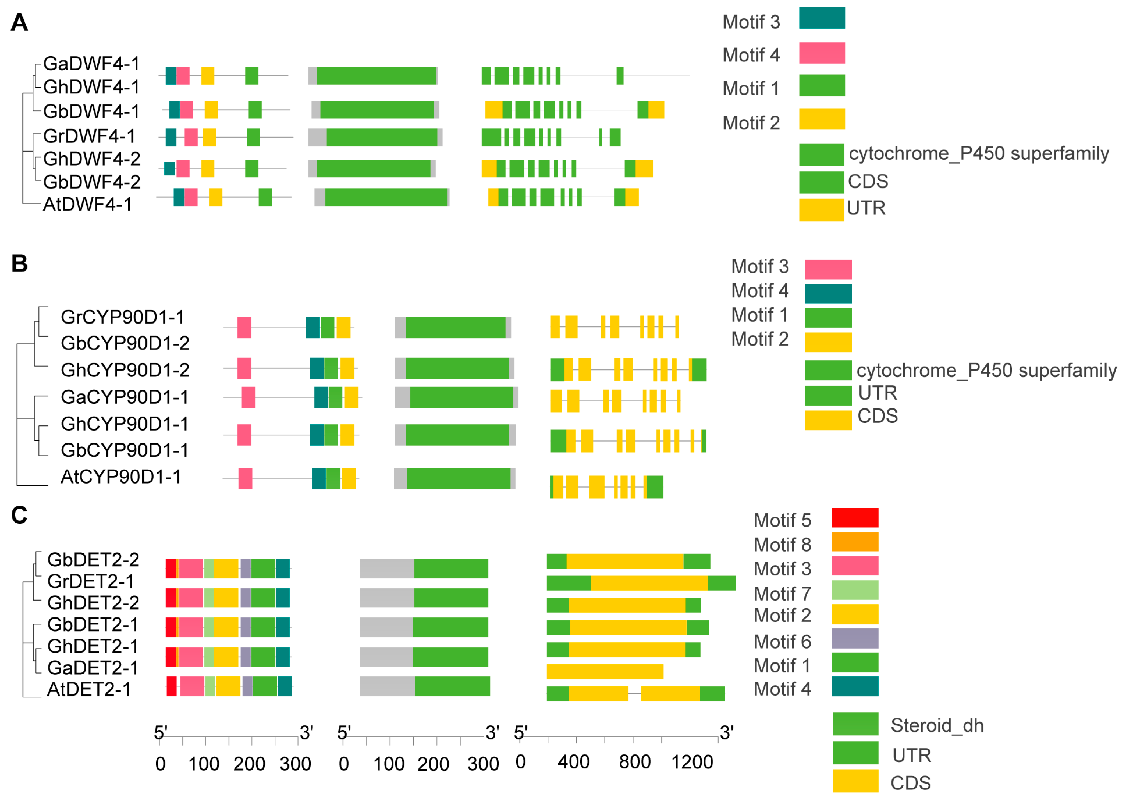 Biology 13 00380 g004