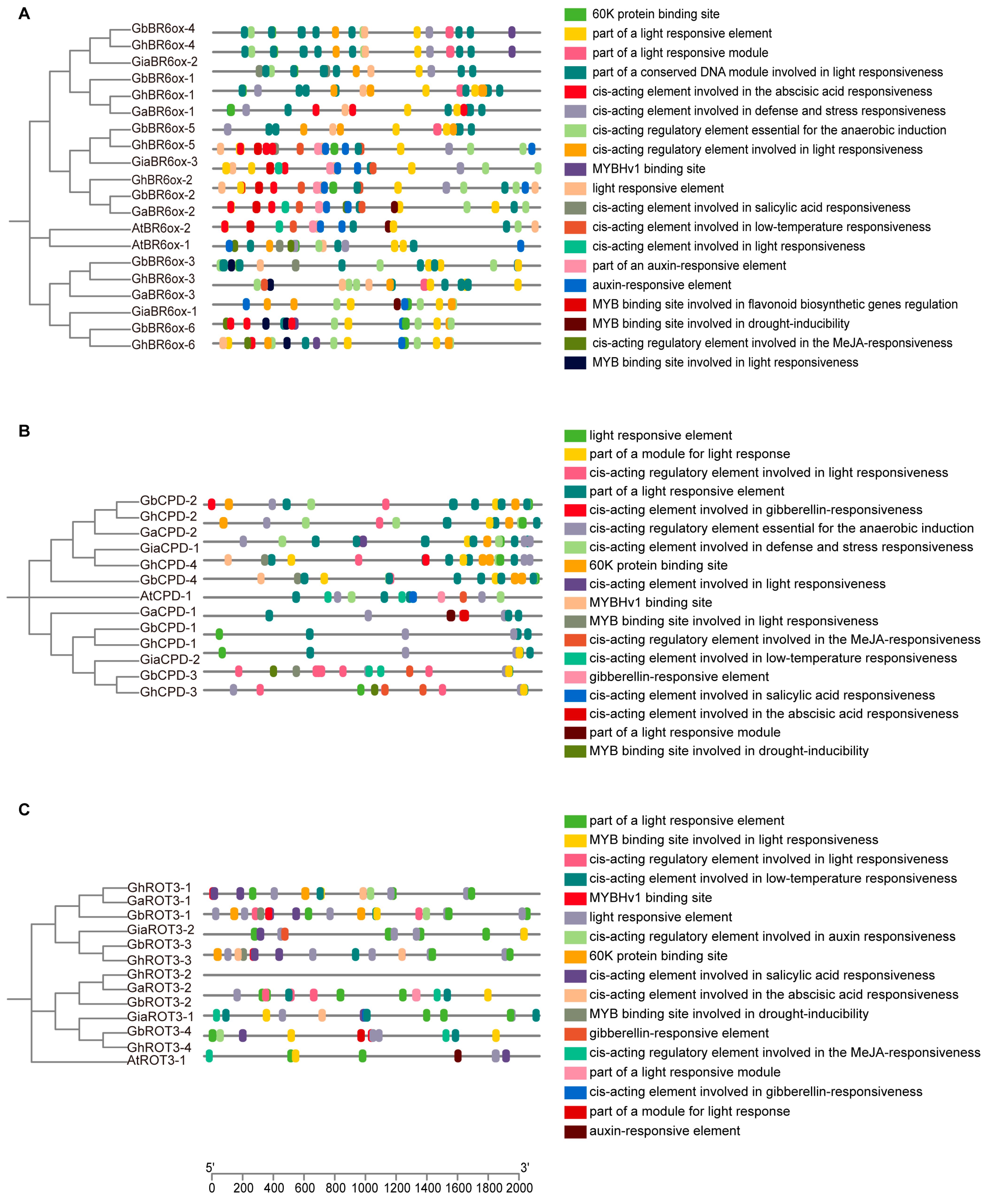 Biology 13 00380 g005