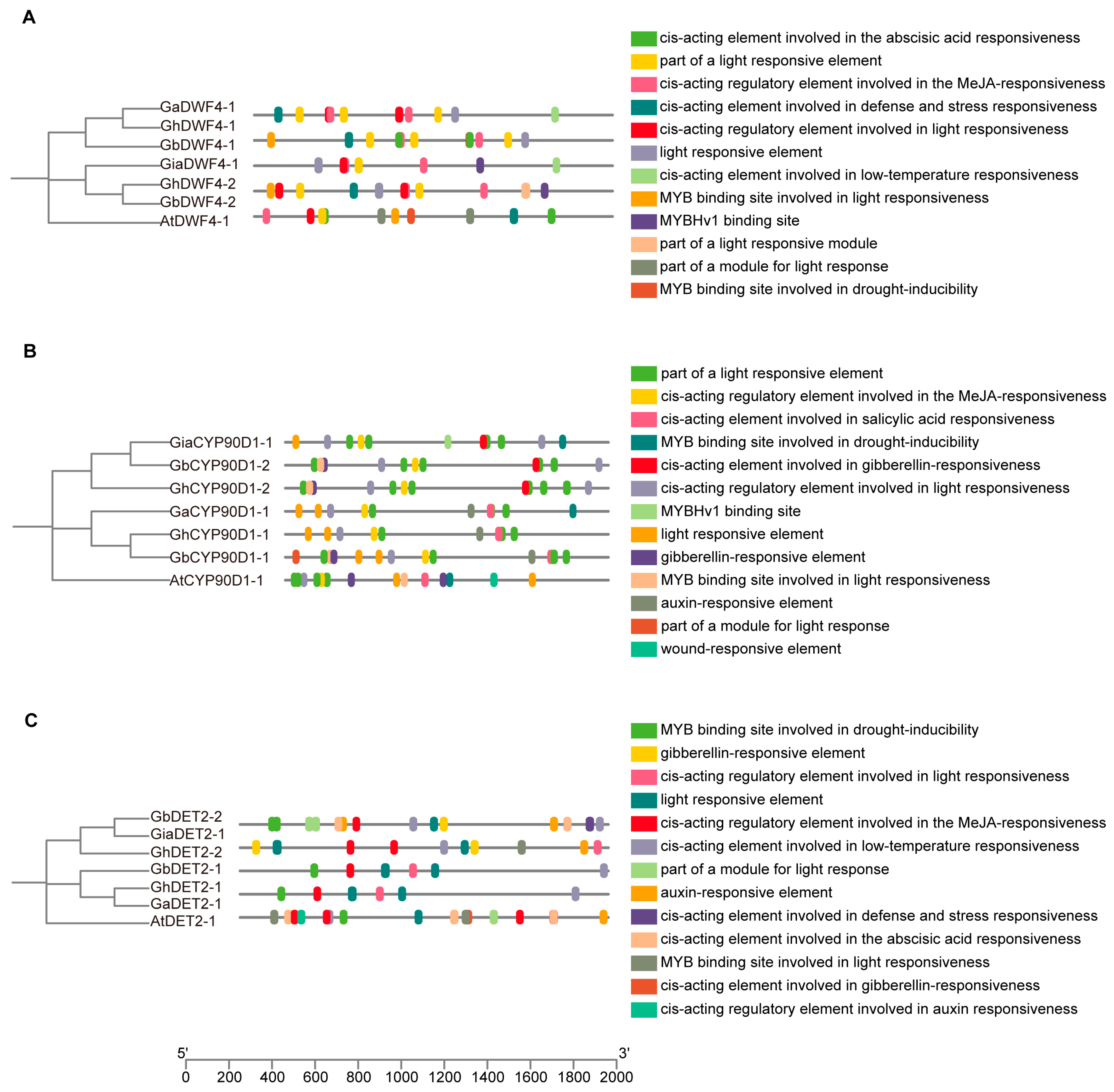 Biology 13 00380 g006