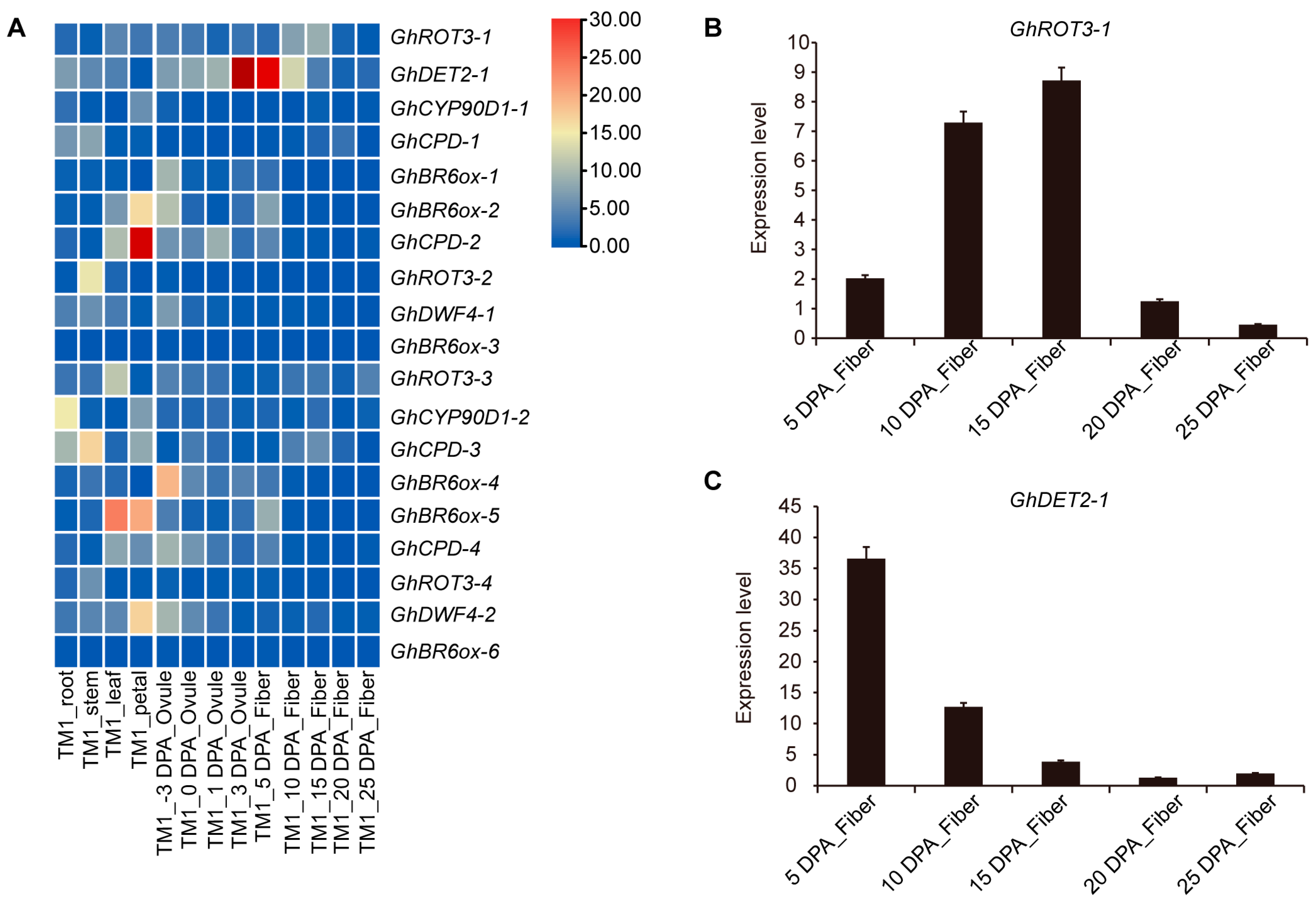 Biology 13 00380 g008