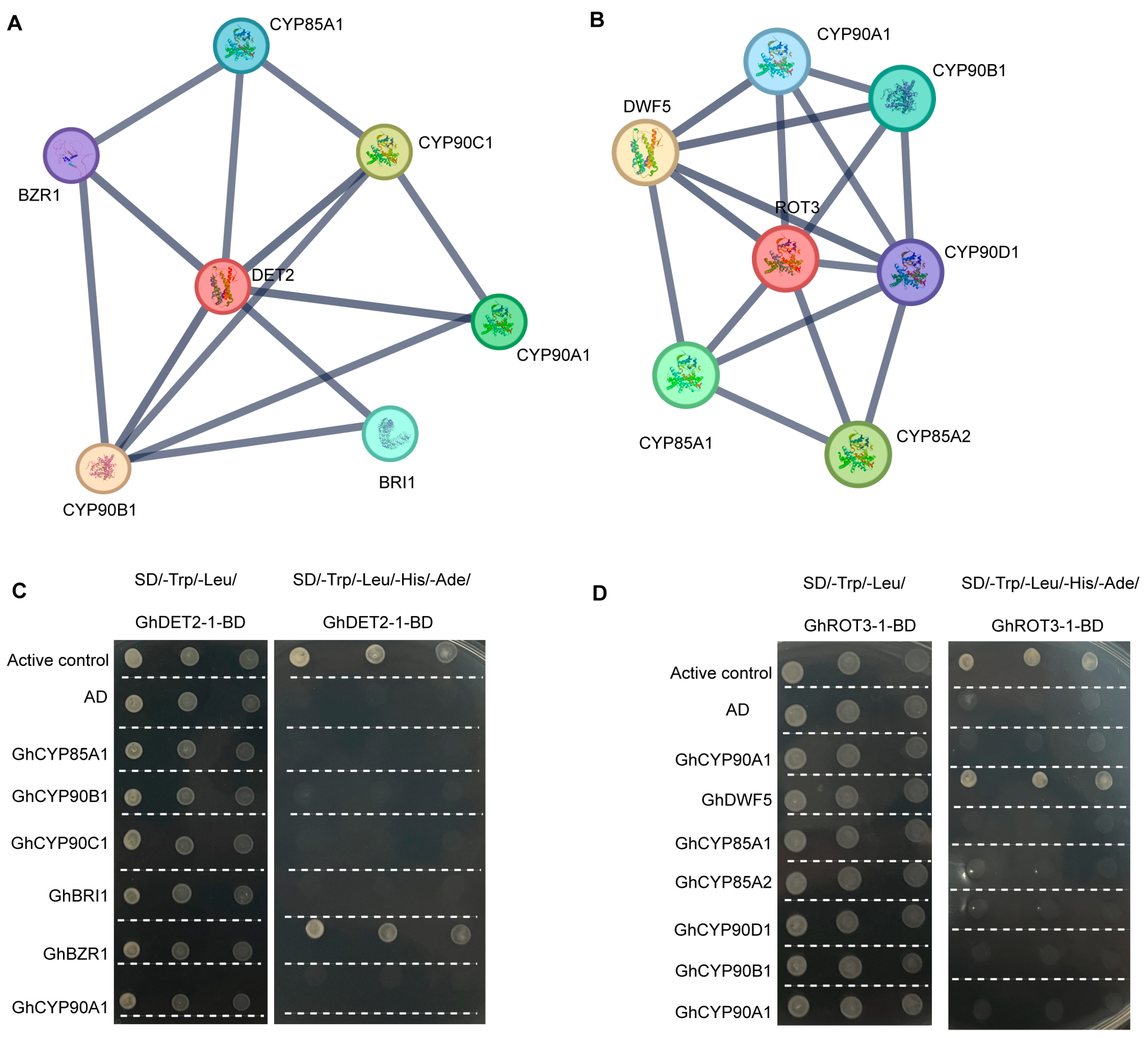 Biology 13 00380 g009
