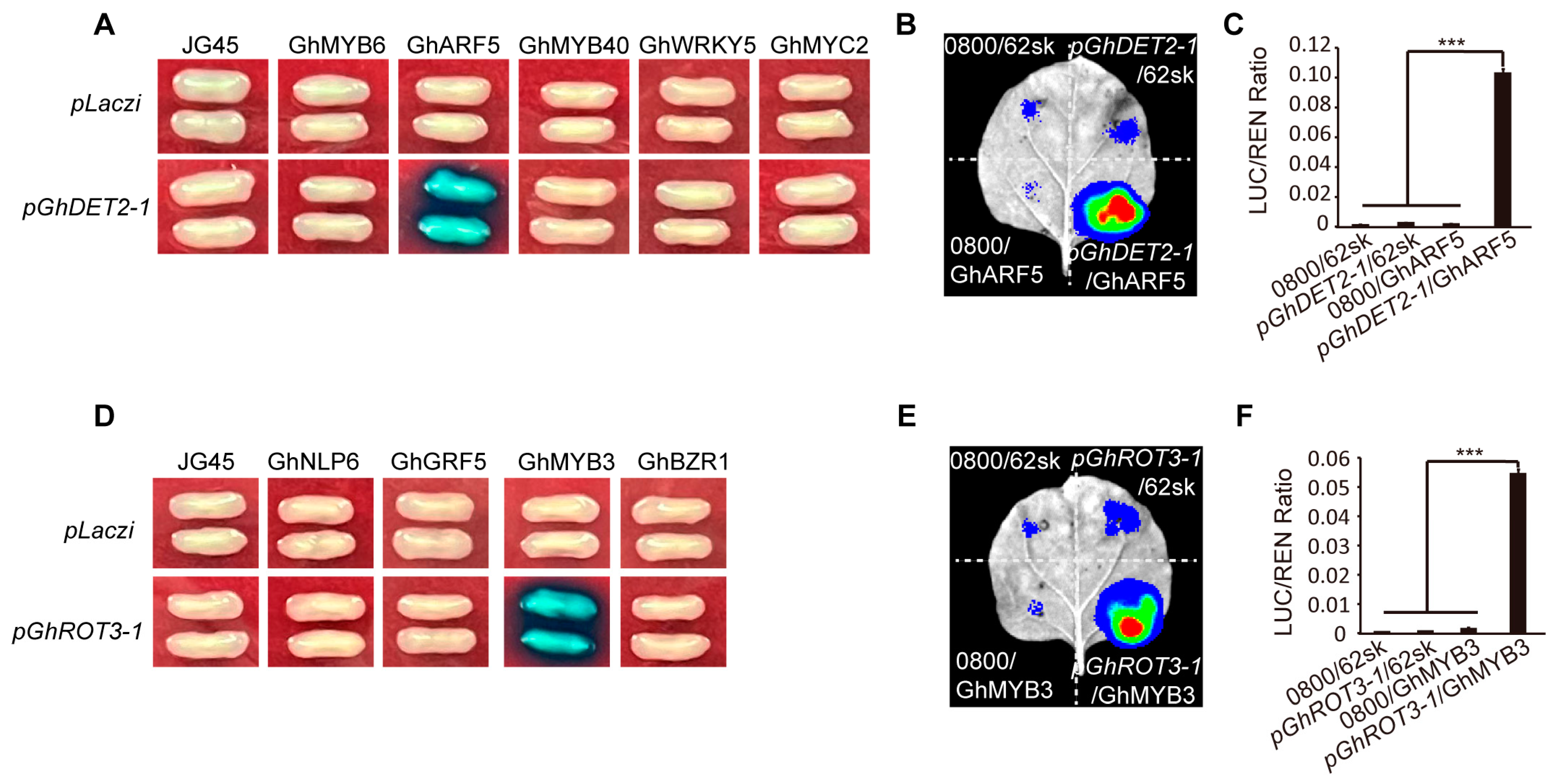 Biology 13 00380 g010