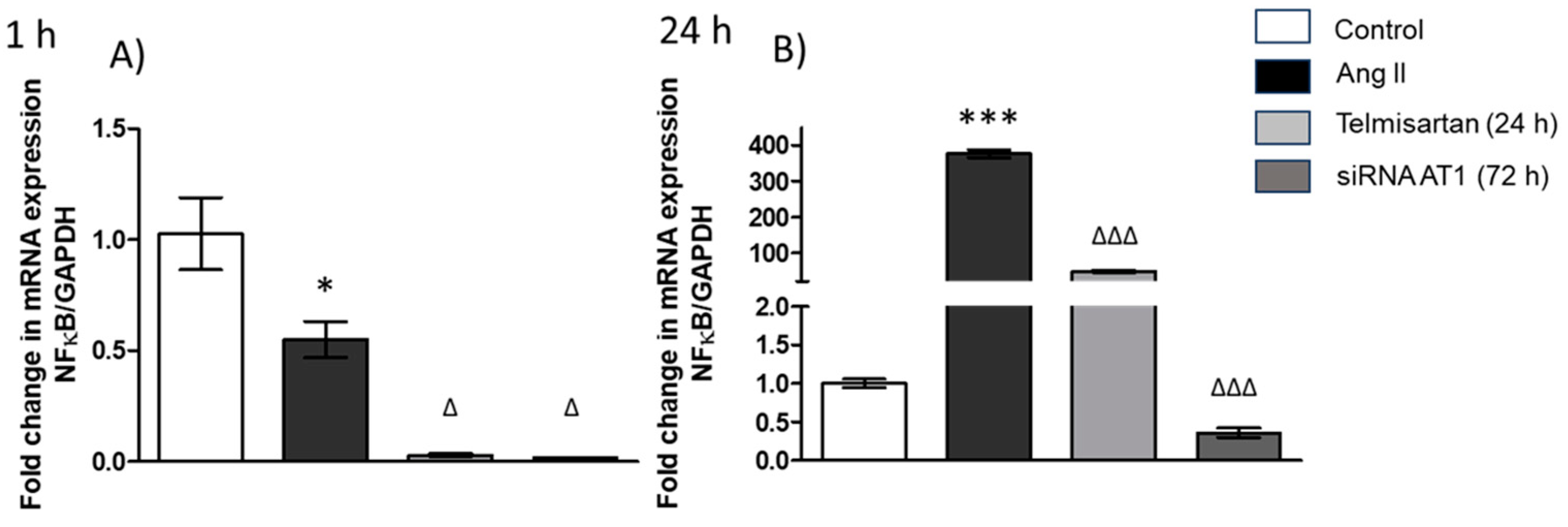 Biology 13 00382 g002