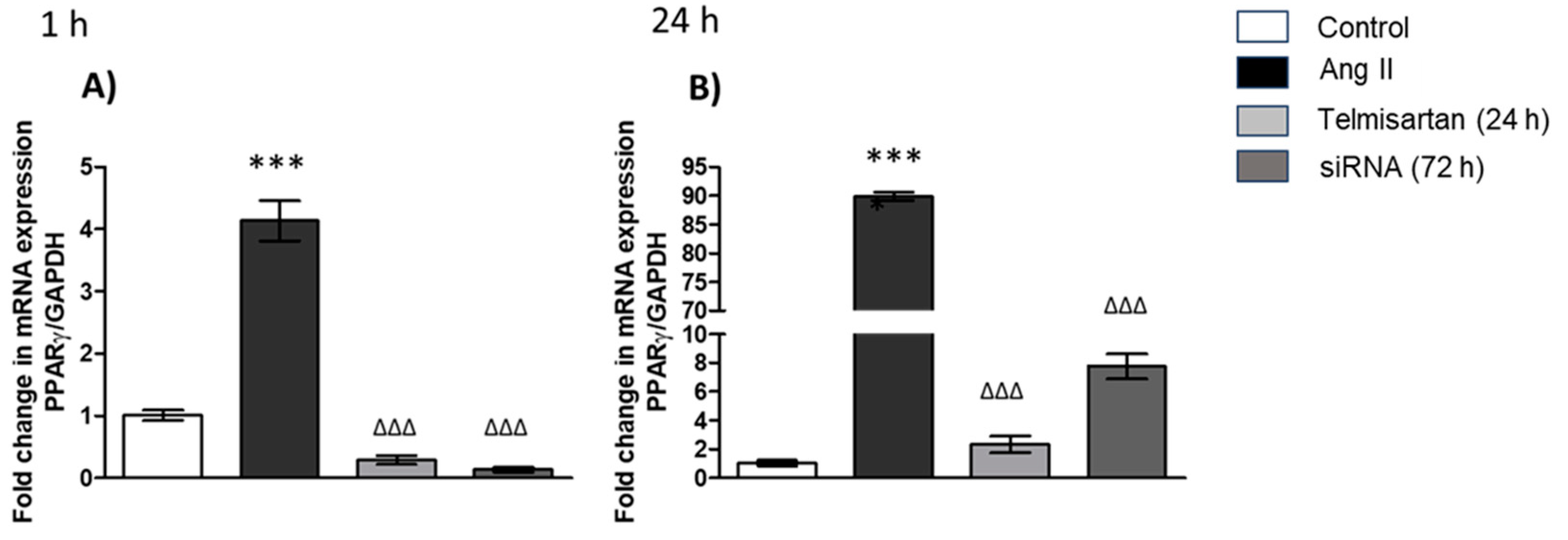 Biology 13 00382 g004