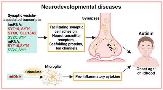 49 Exosomes in the Diagnosis of Neuropsychiatric Diseases: A Review