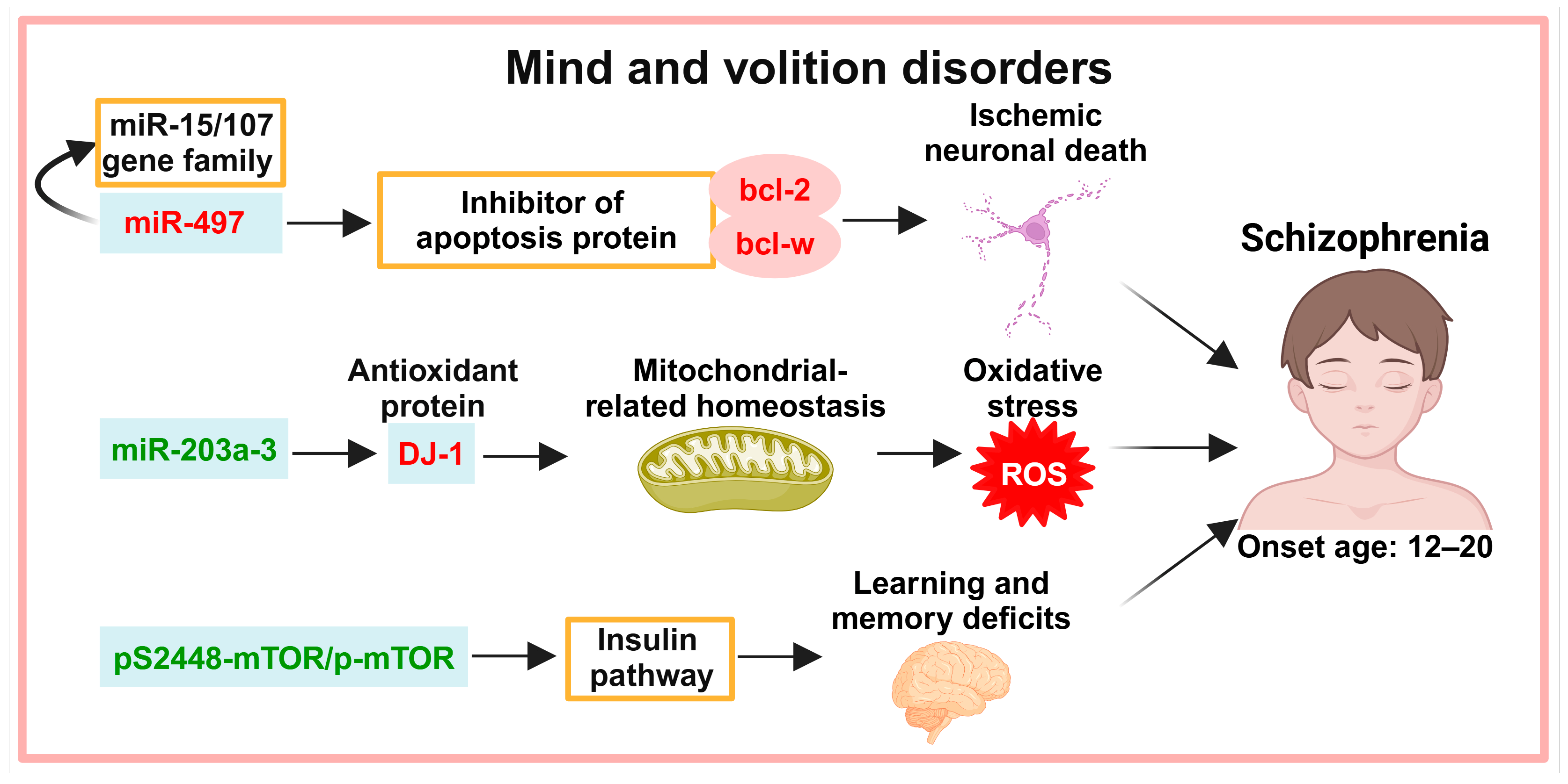 Biology 13 00387 g002