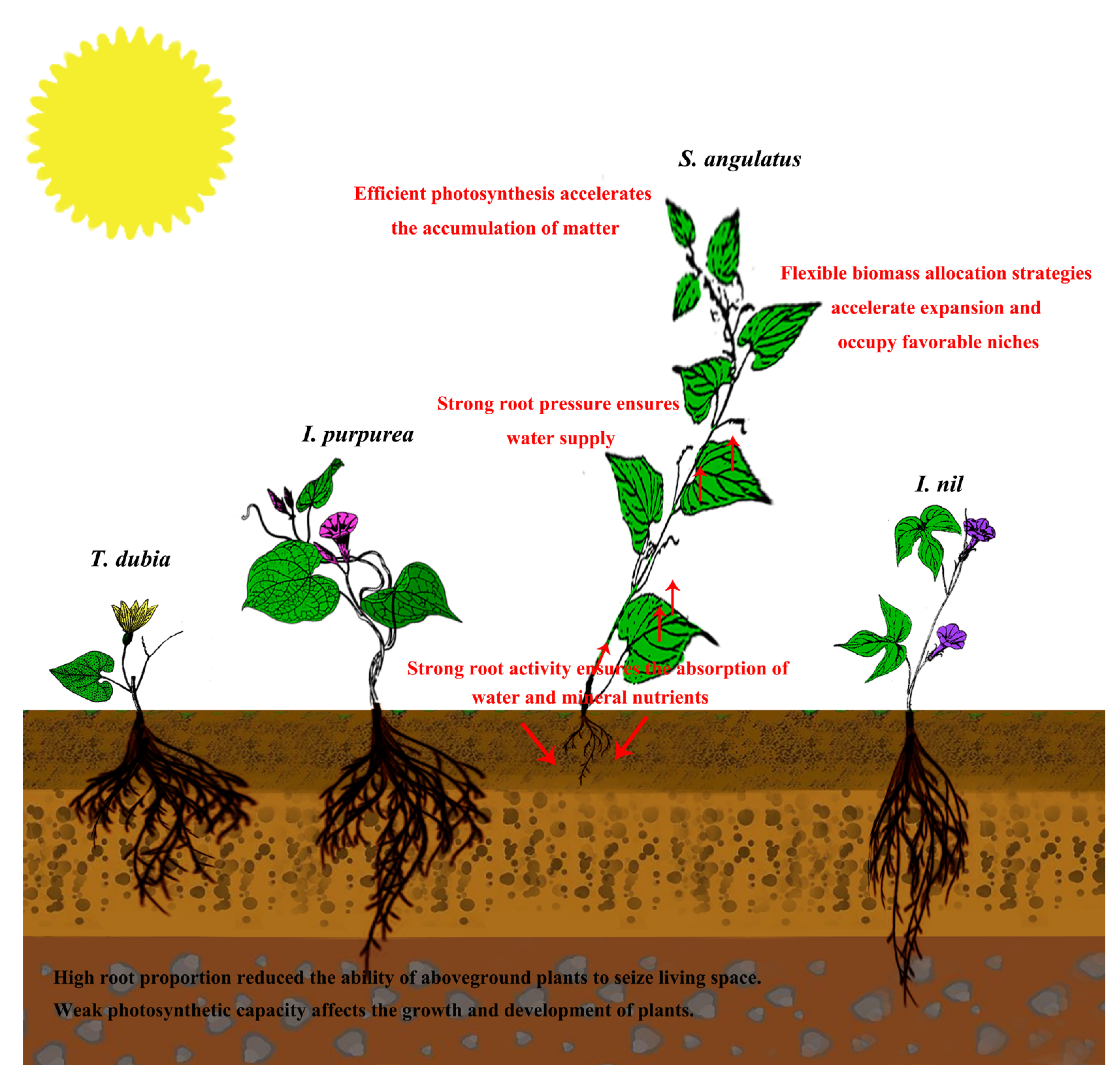 Biology 13 00392 g005
