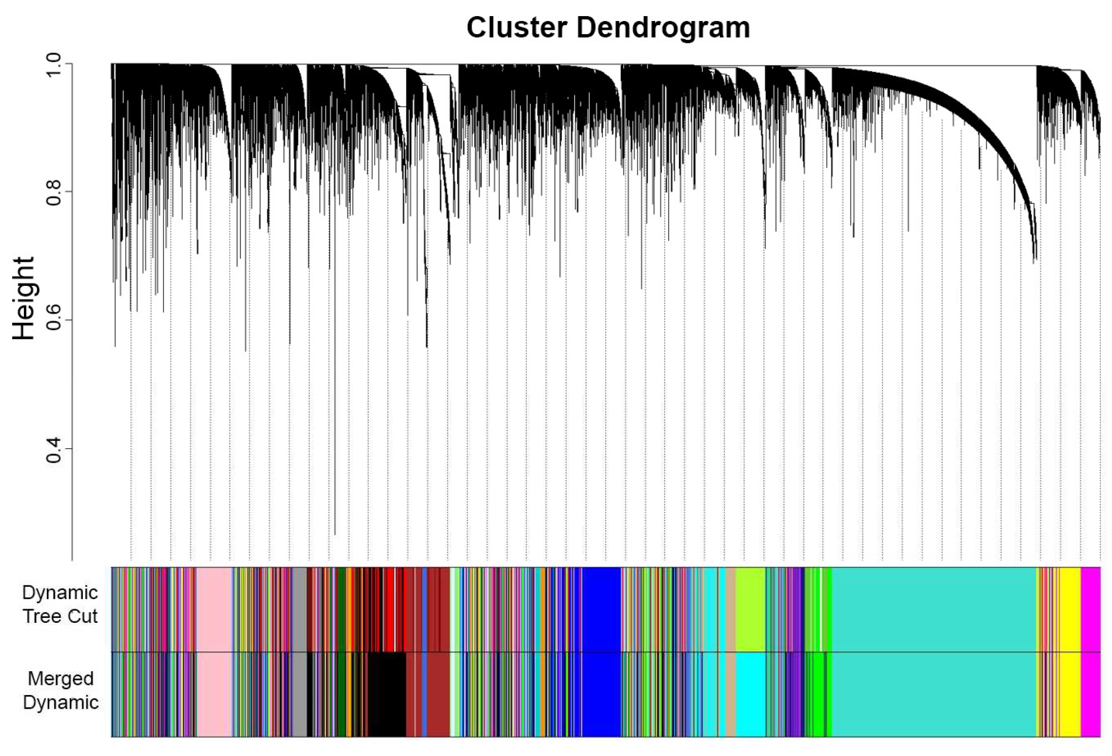 Biology 13 00397 g003