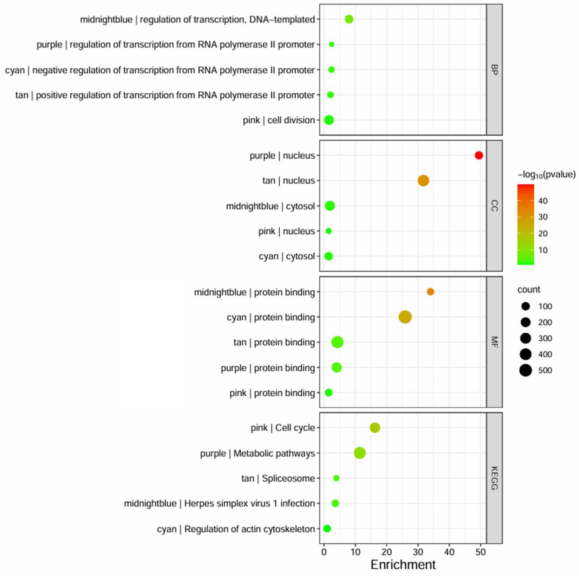 Biology 13 00397 g005