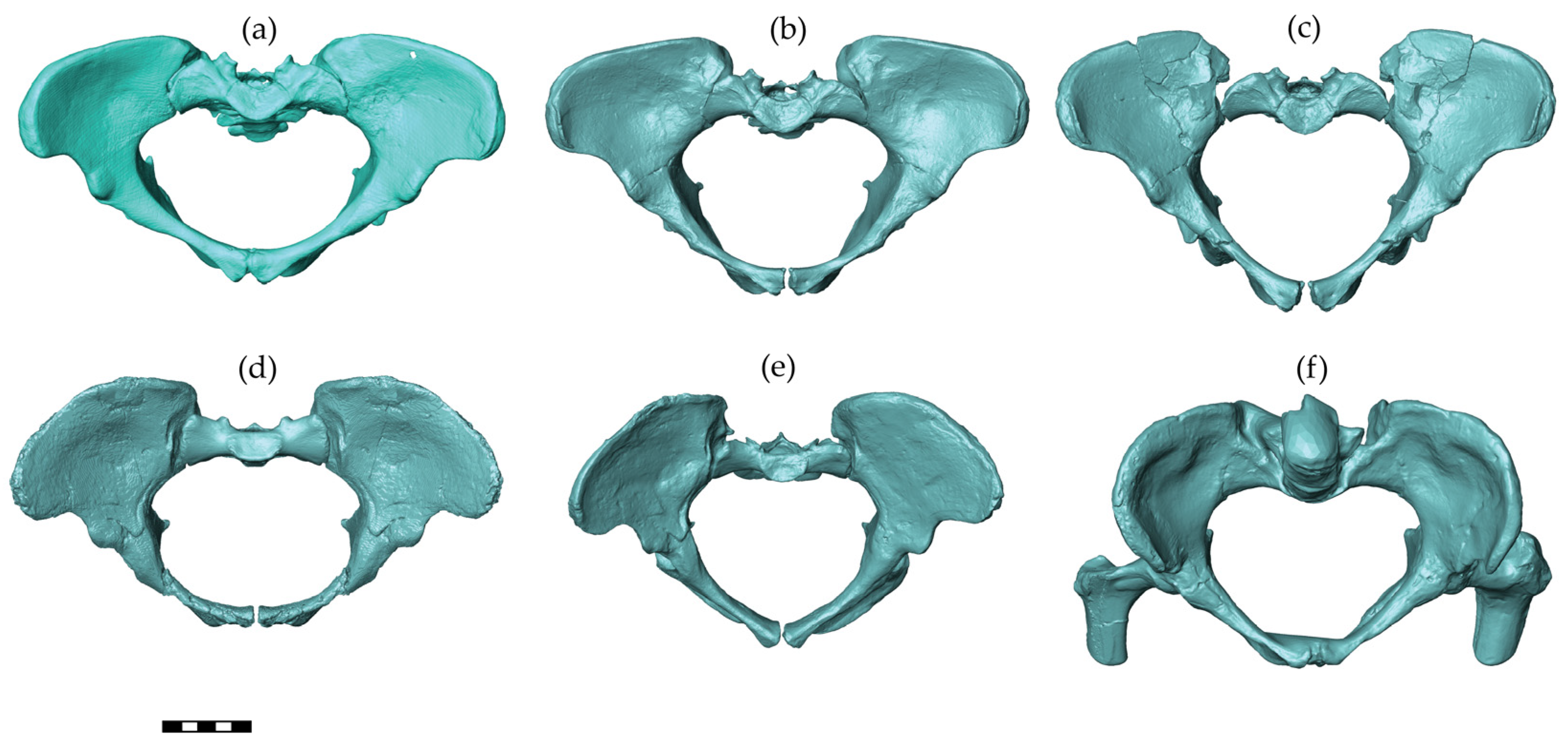 Biology 13 00398 g002