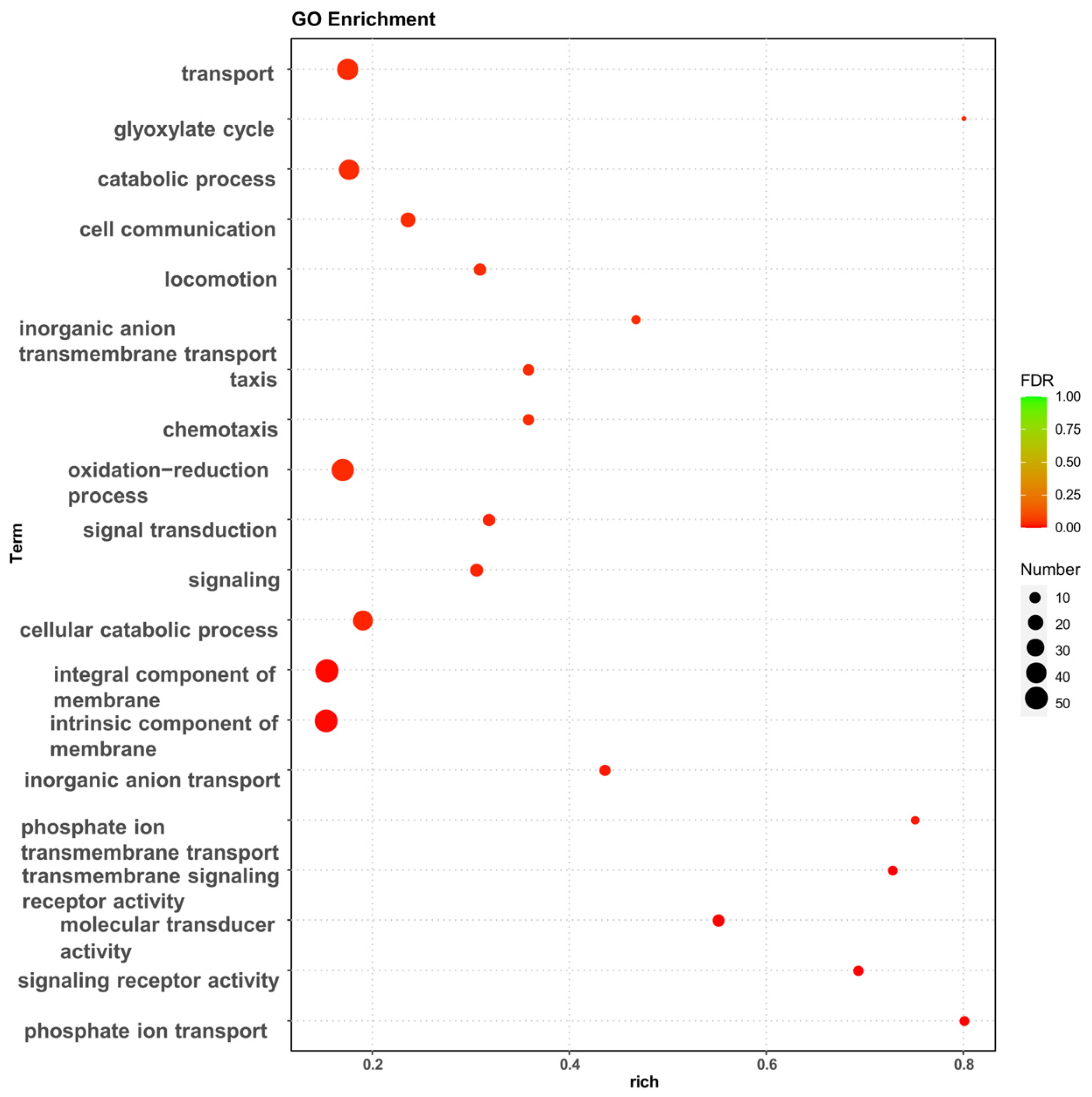 Biology 13 00404 g002