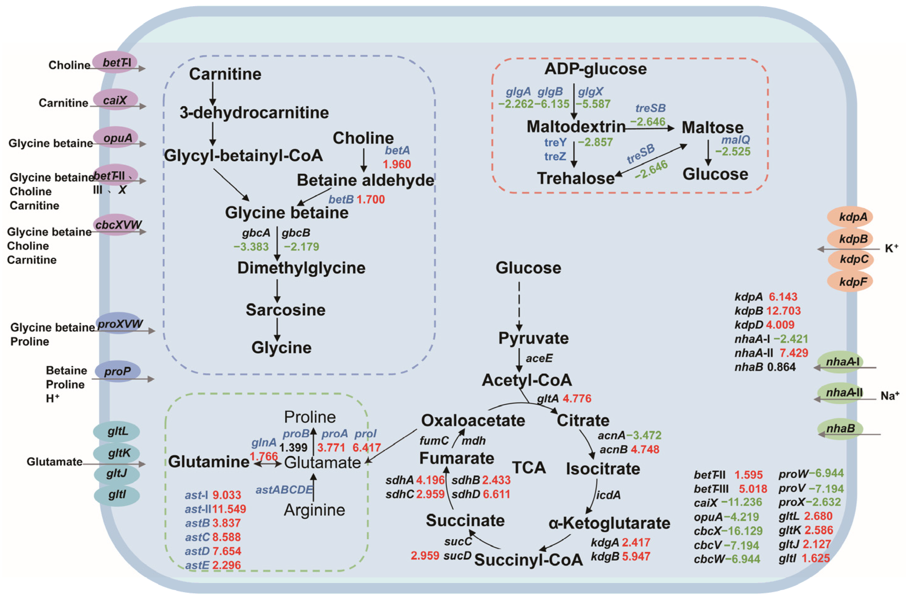 Biology 13 00404 g003