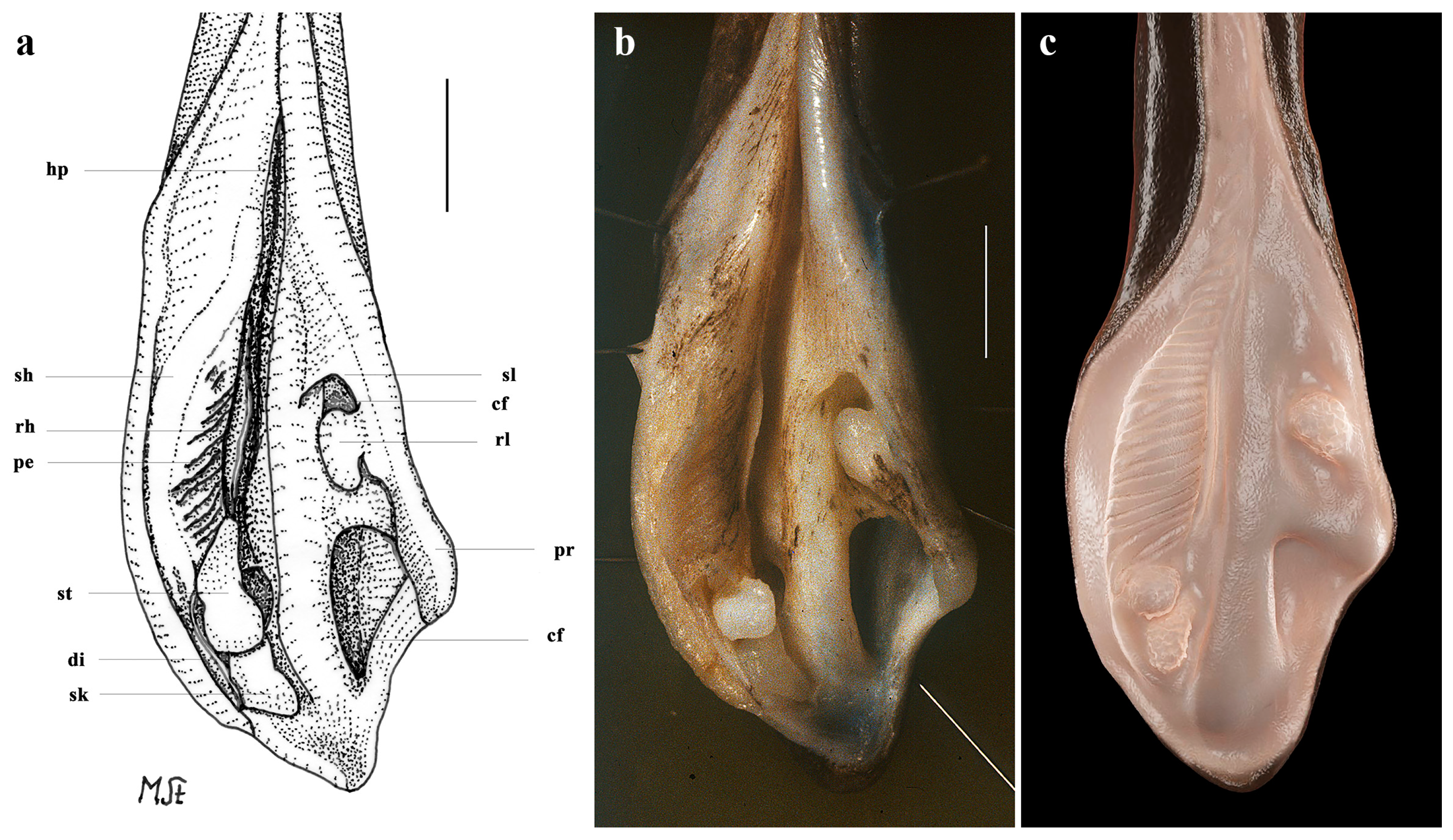 Biology 13 00405 g020