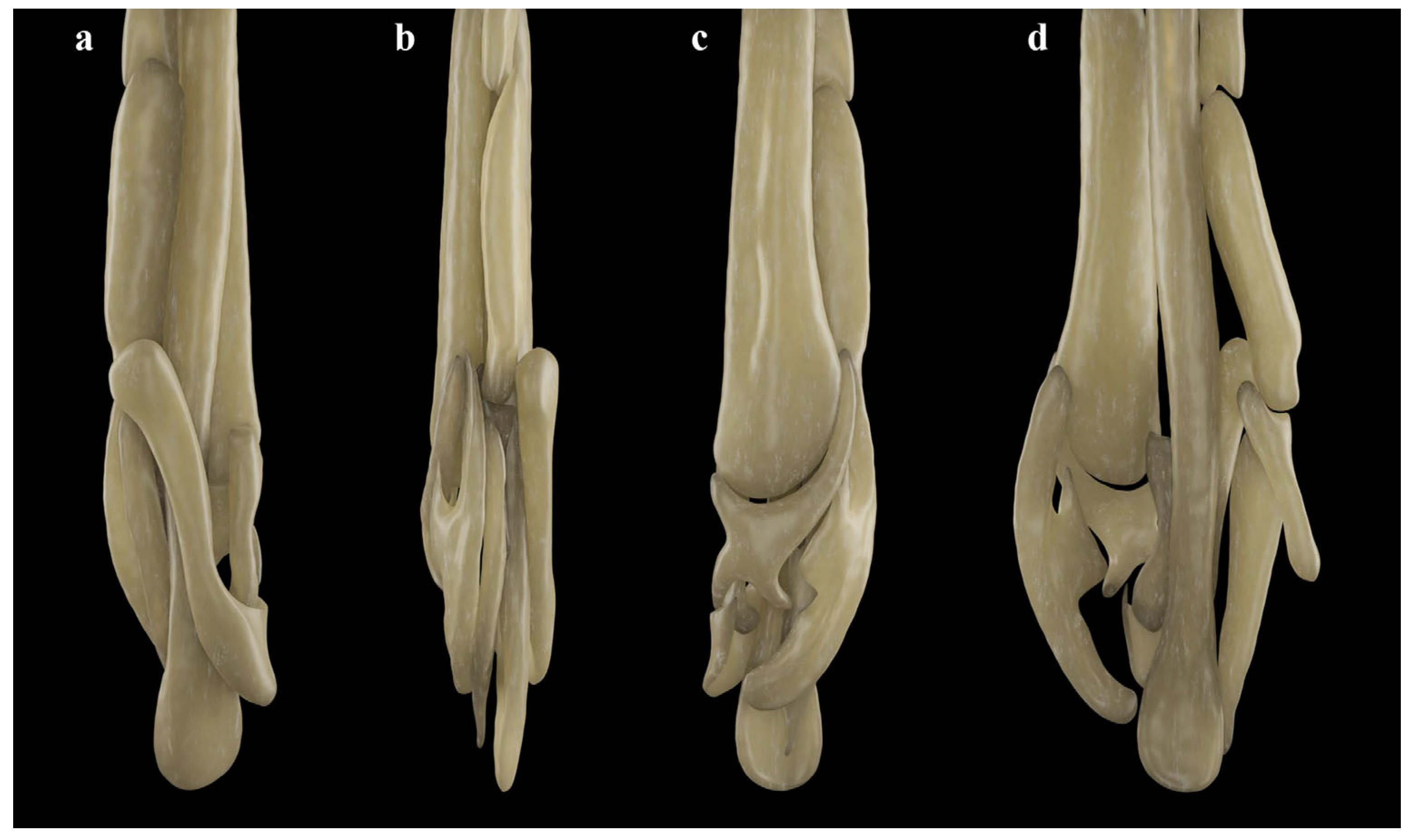 Biology 13 00405 g023