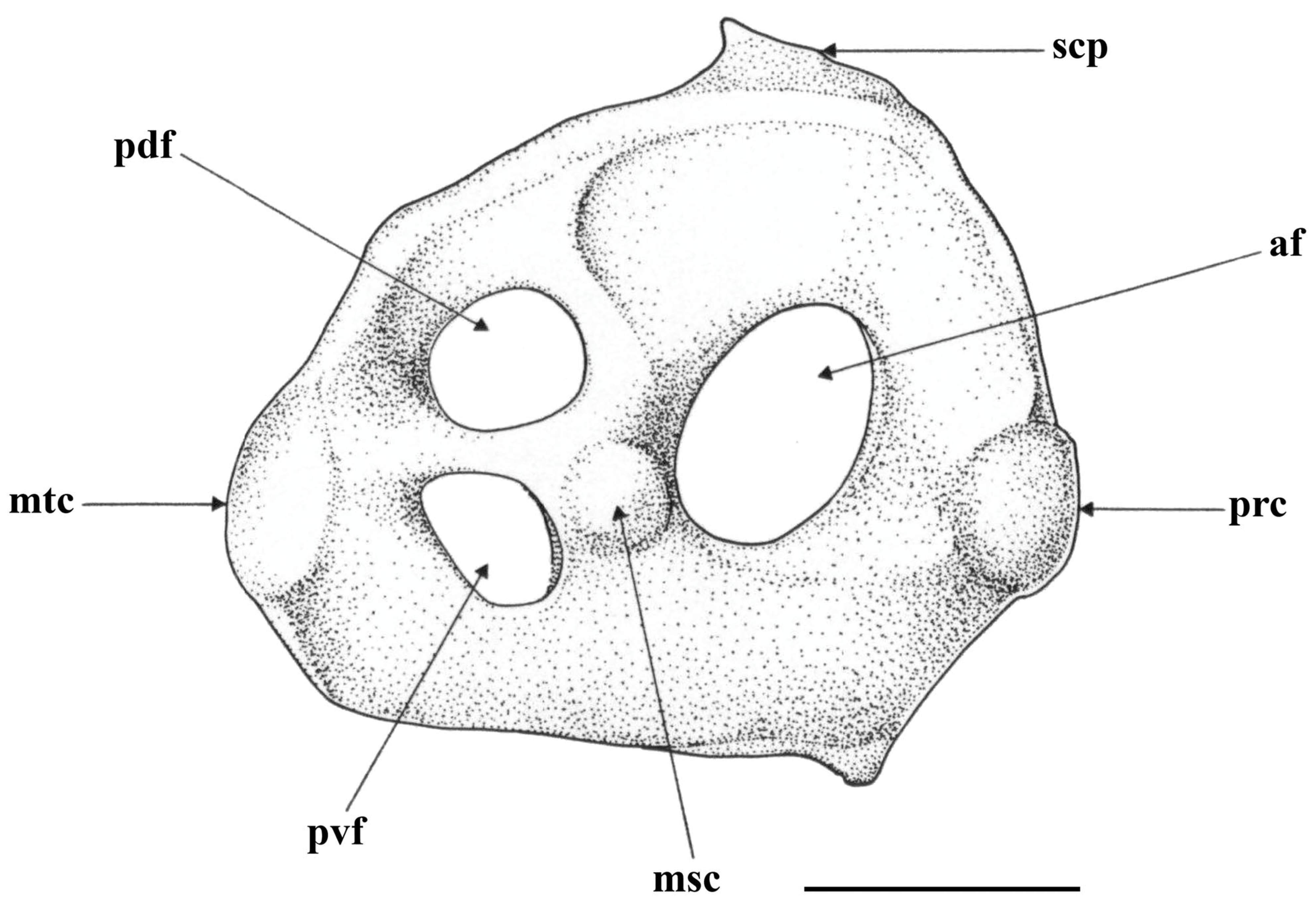 Biology 13 00405 g030