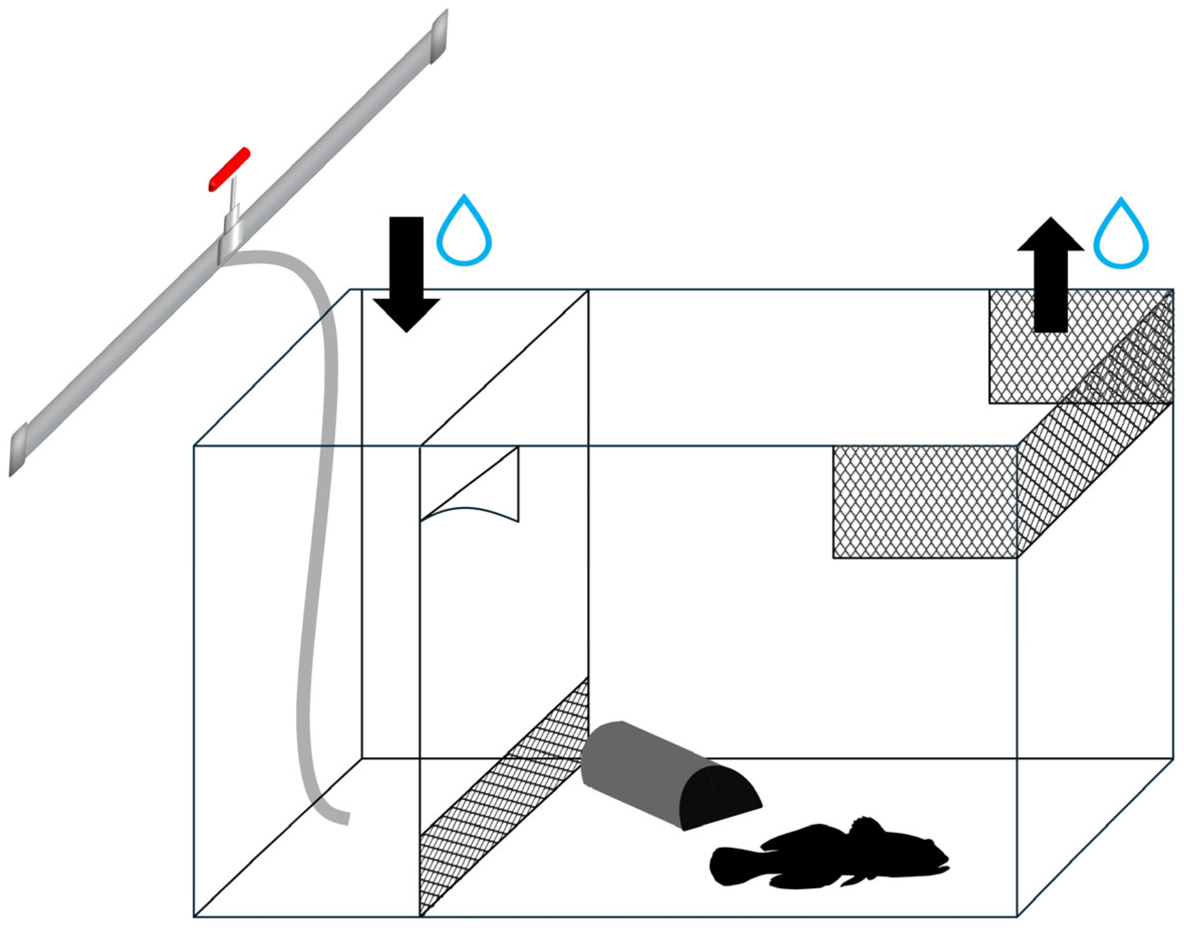 Biology 13 00406 g001