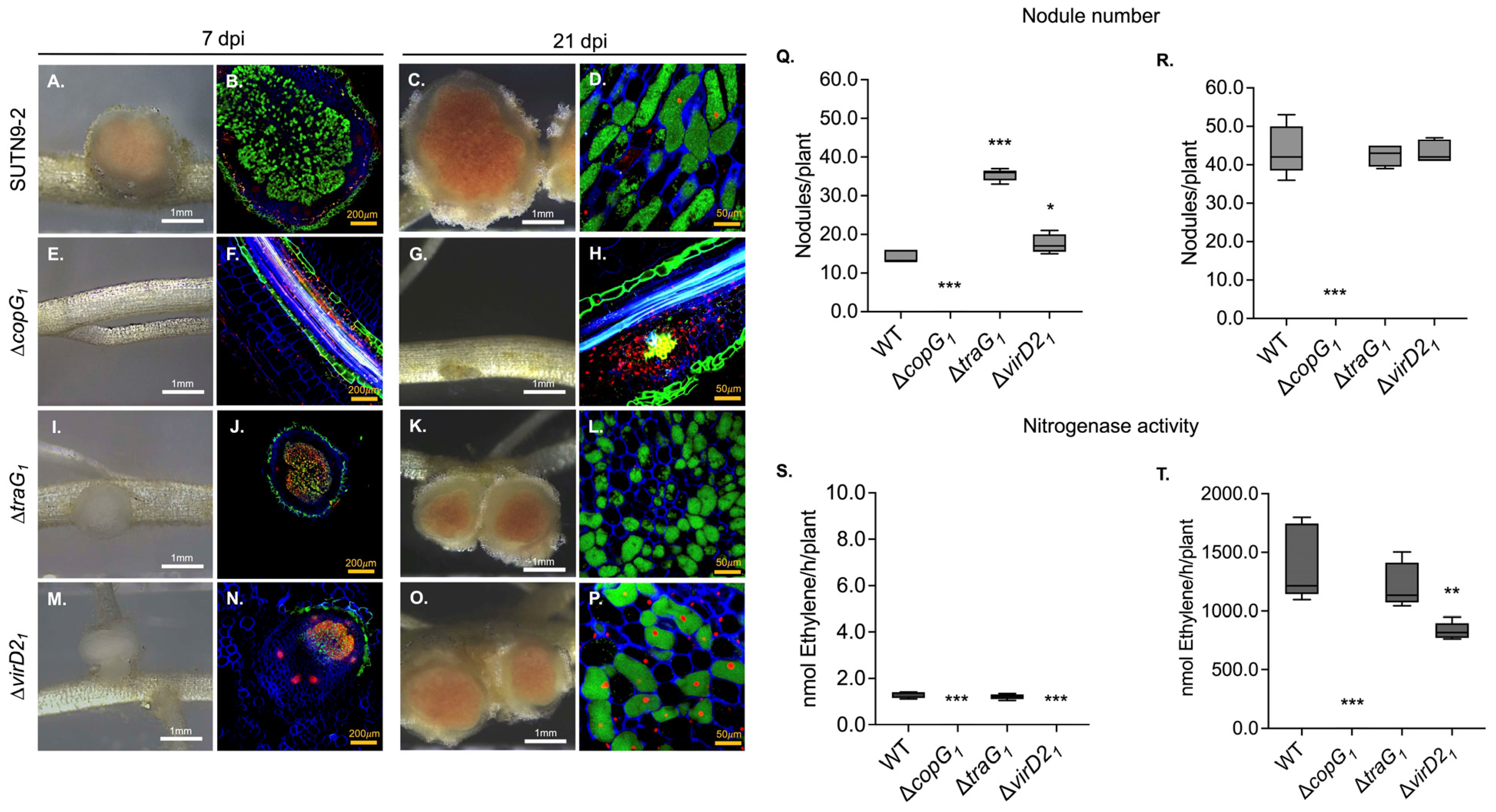 Biology 13 00415 g001