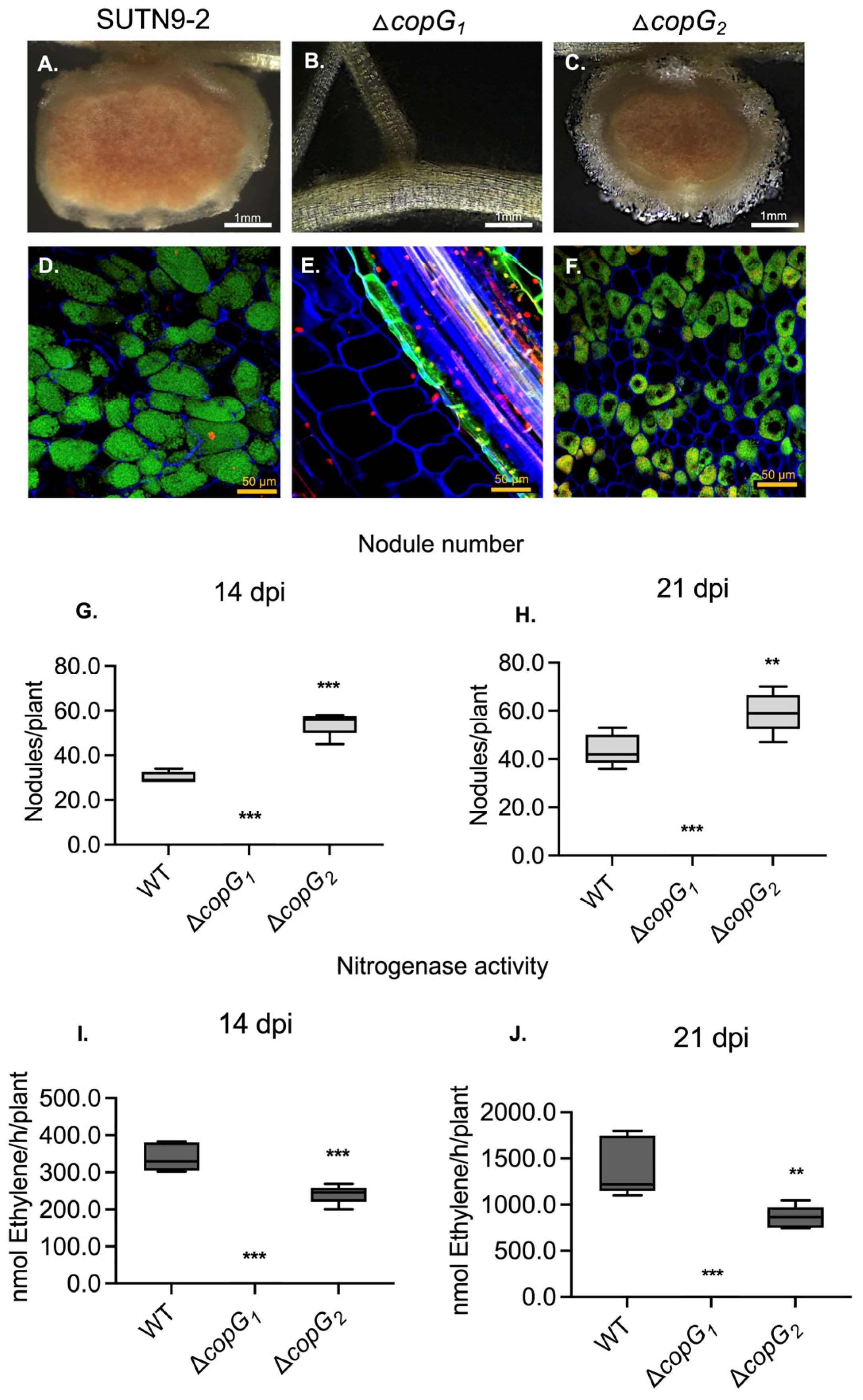 Biology 13 00415 g002