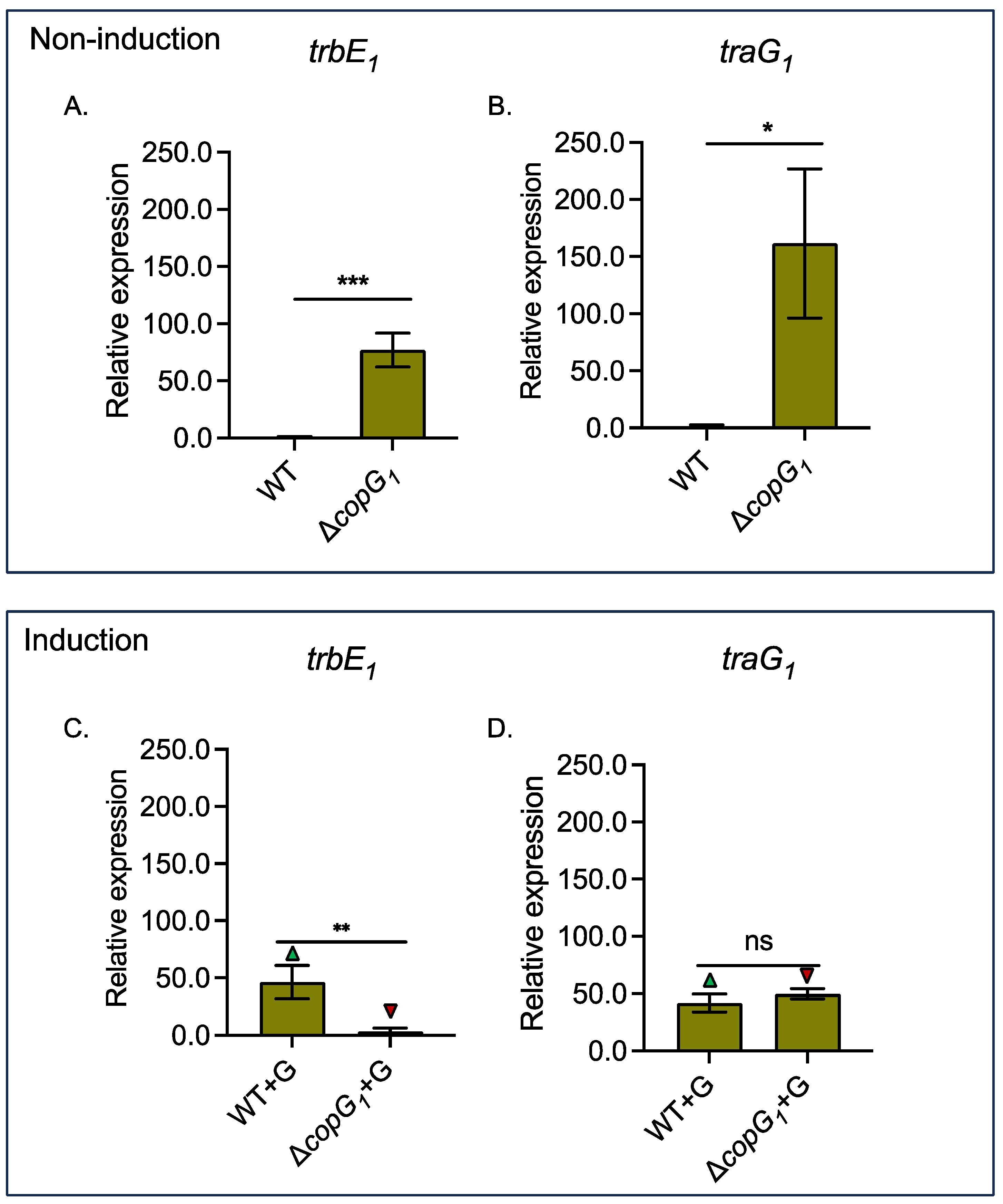 Biology 13 00415 g004