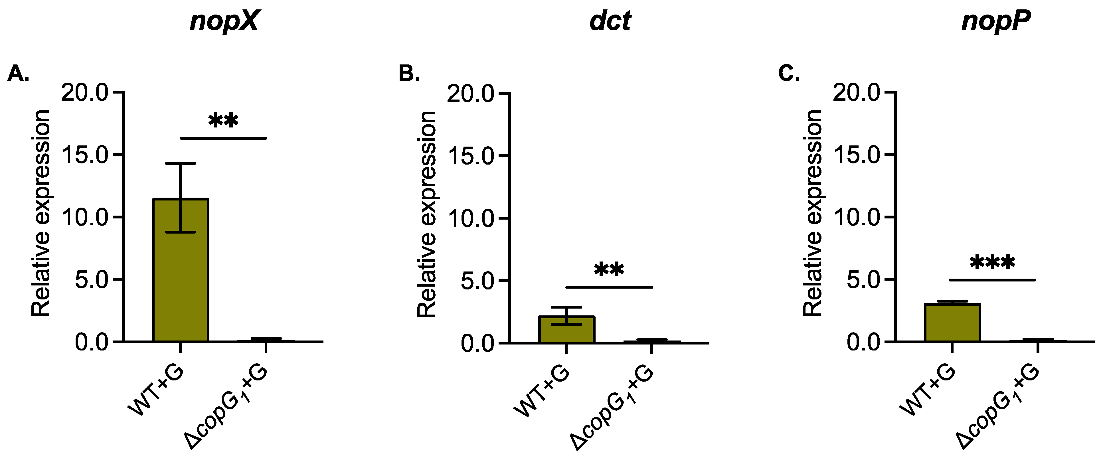 Biology 13 00415 g006