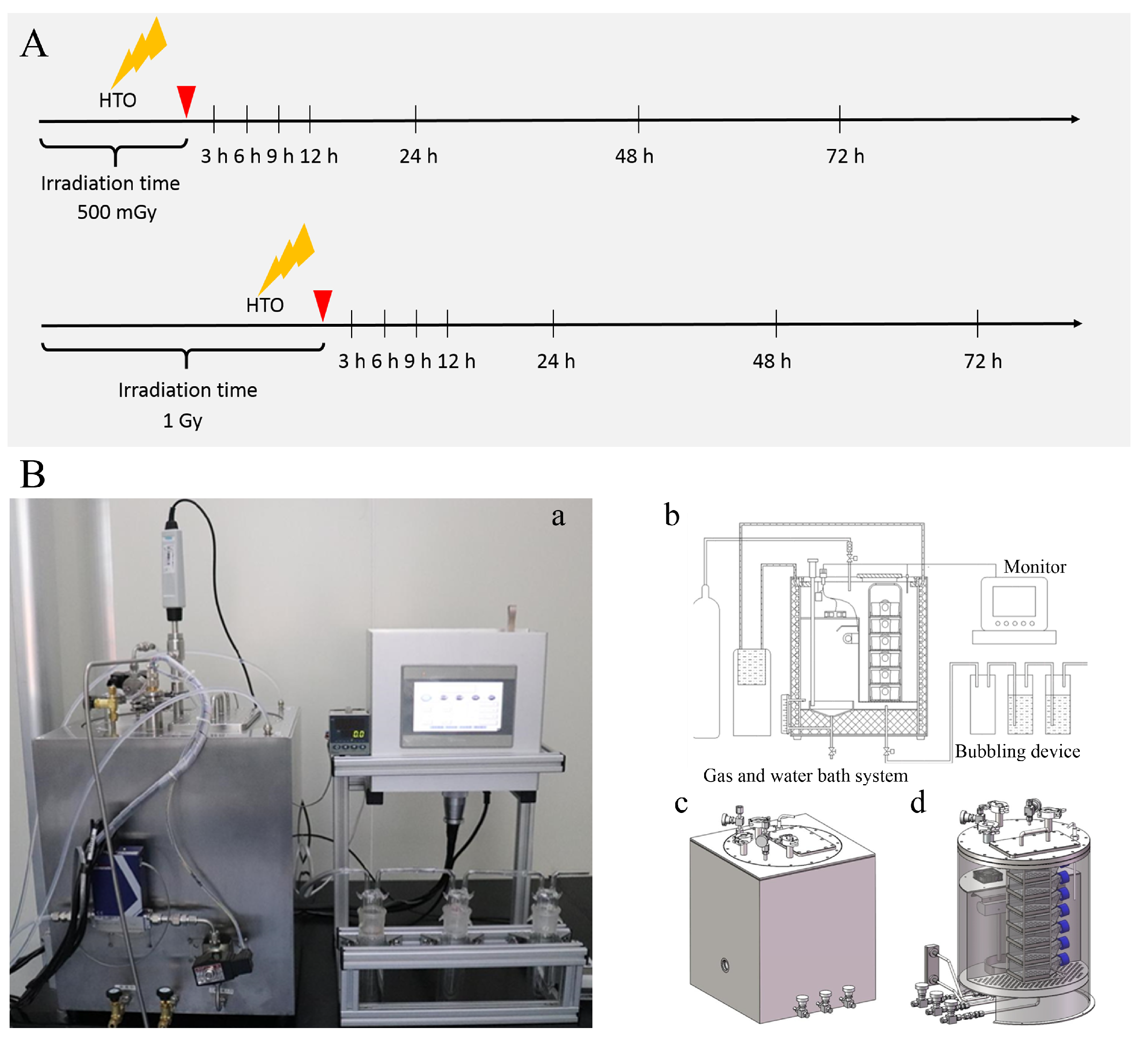 Biology 13 00418 g001