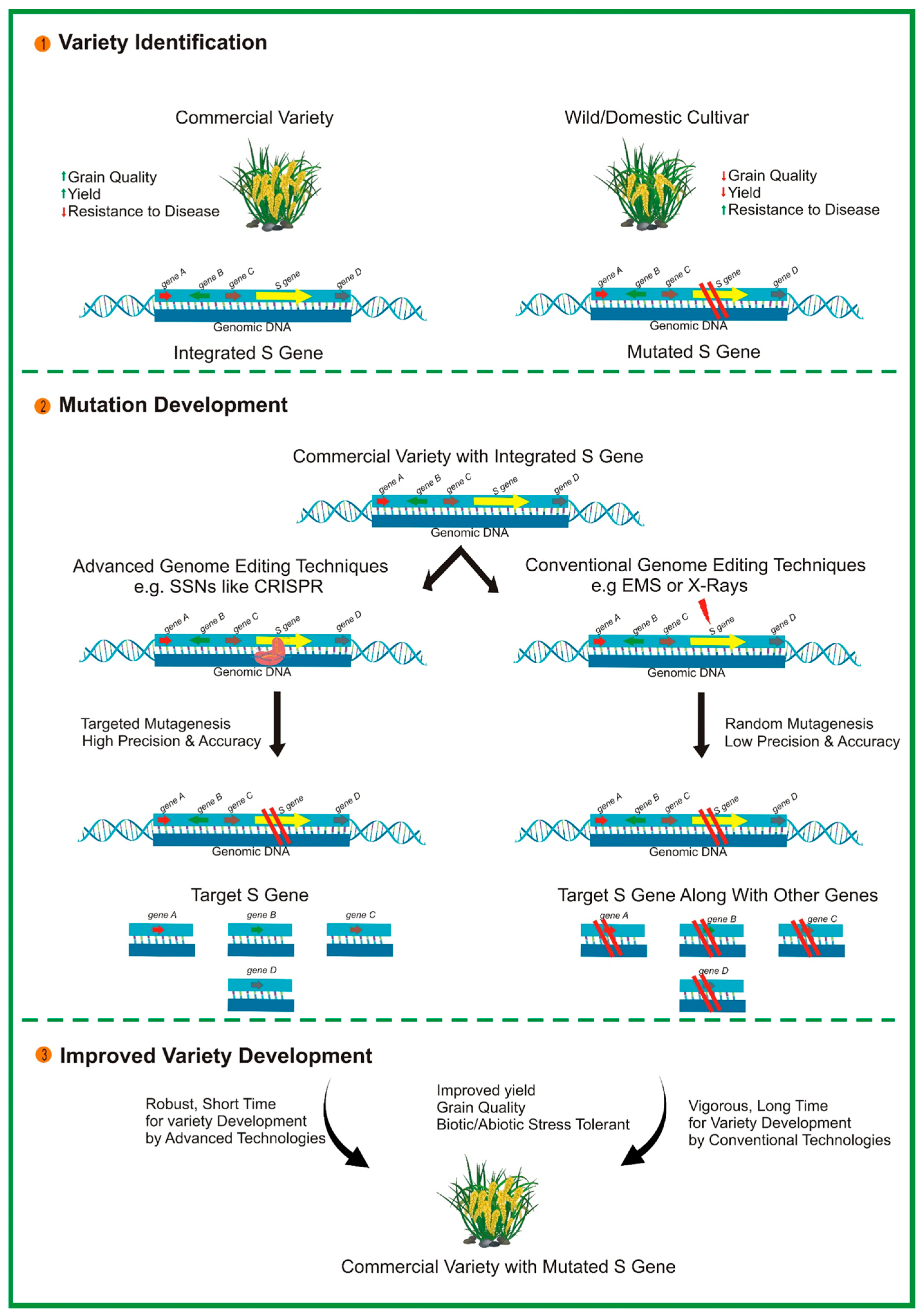 Biology 13 00421 g002