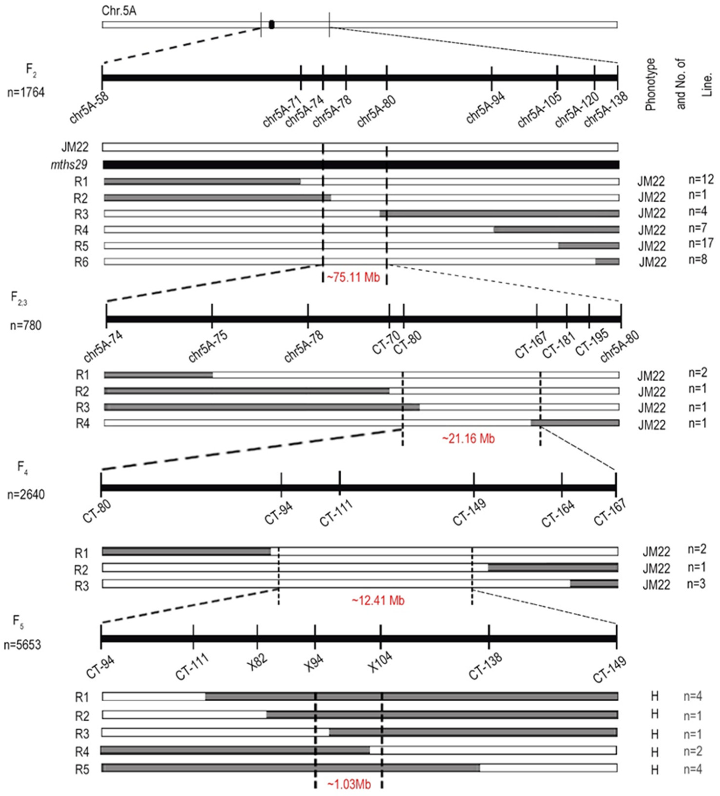 Biology 13 00430 g003